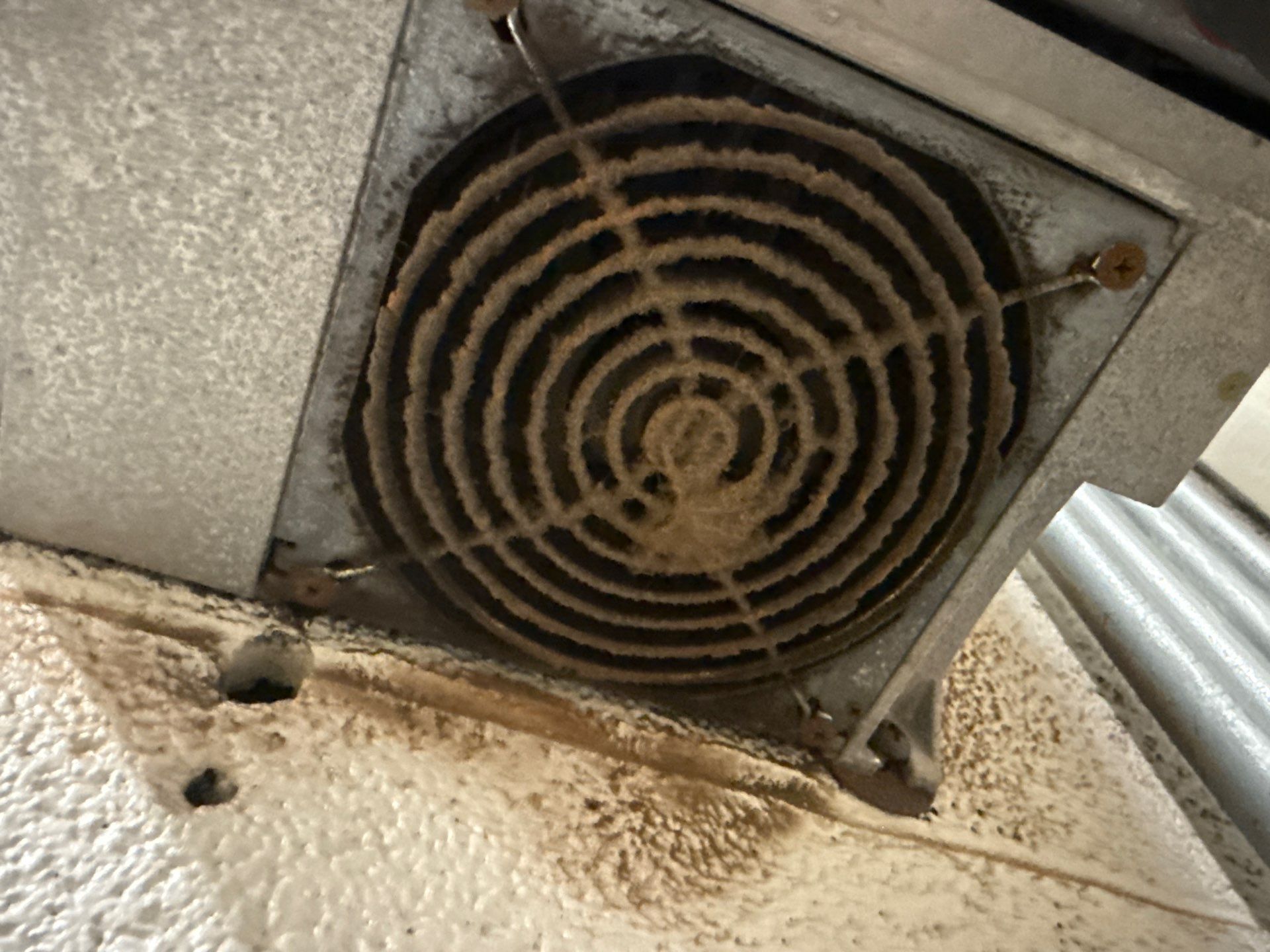 Commercial Pool VFD Installation and Electrical Upgrades in Ashburn by Complete Tradesmen Services