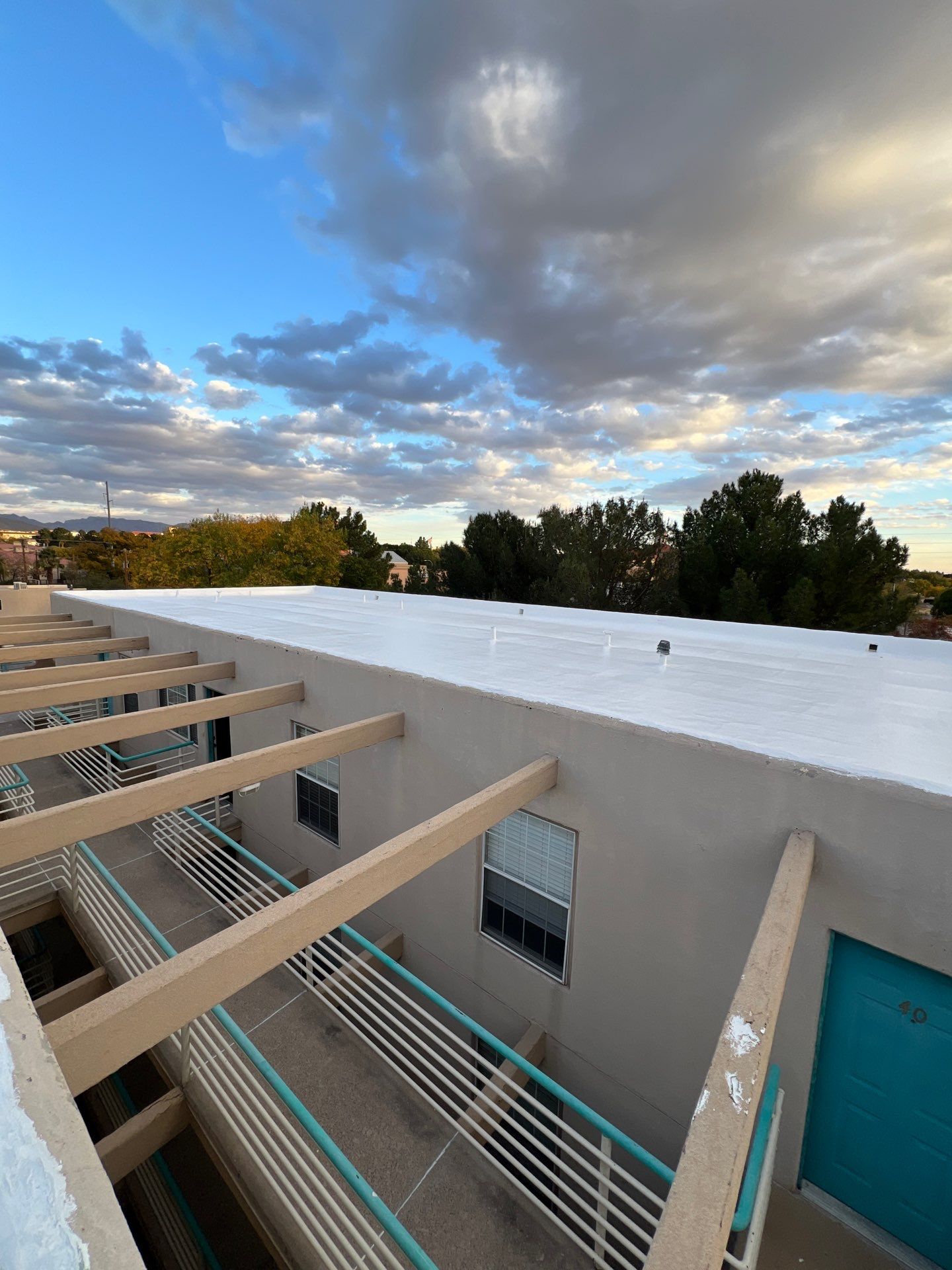 Las Palmas Apartments by SPF Services 