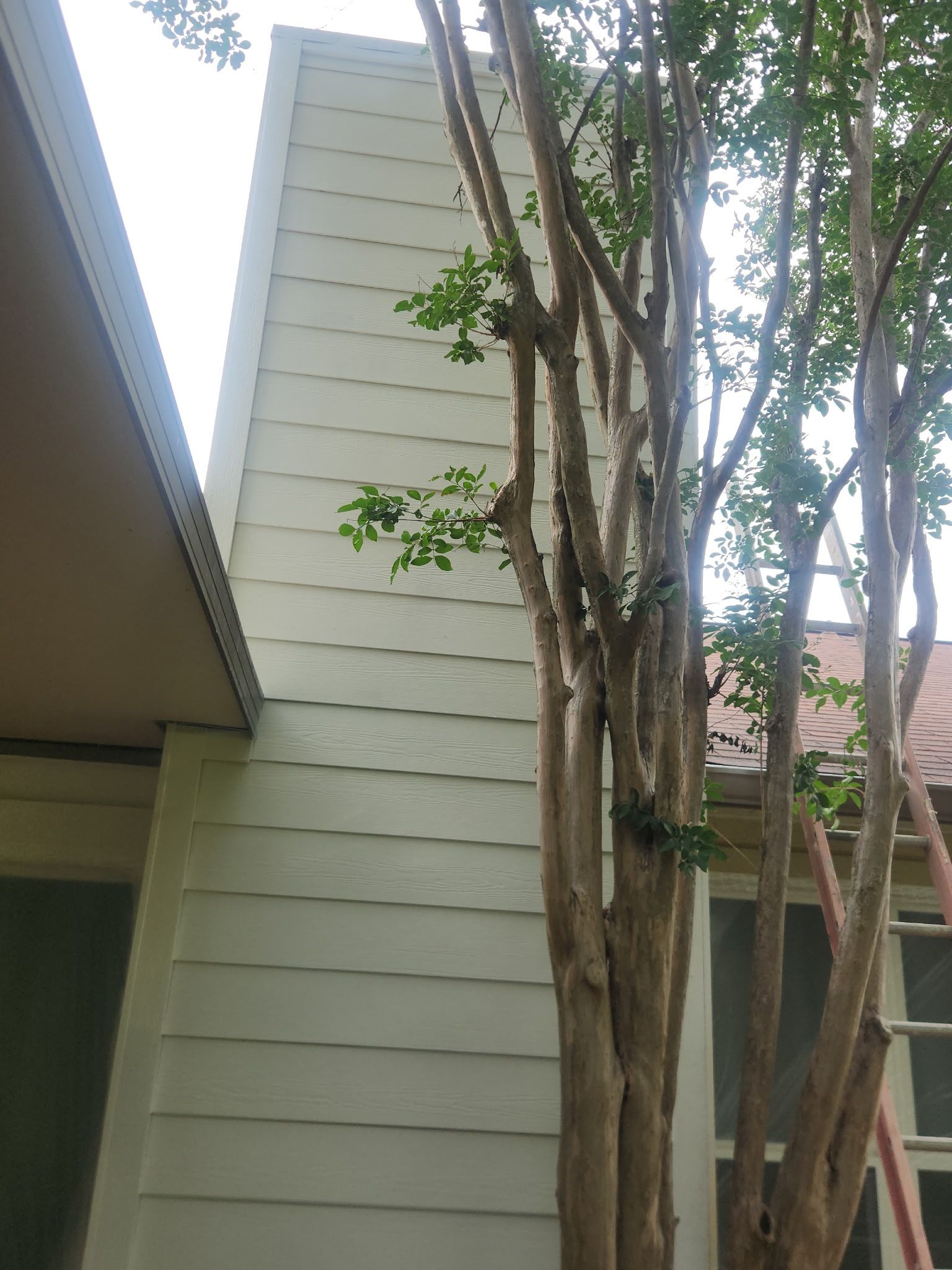 Siding project in Cedar Park, TX by REPS Austin Area Roofer