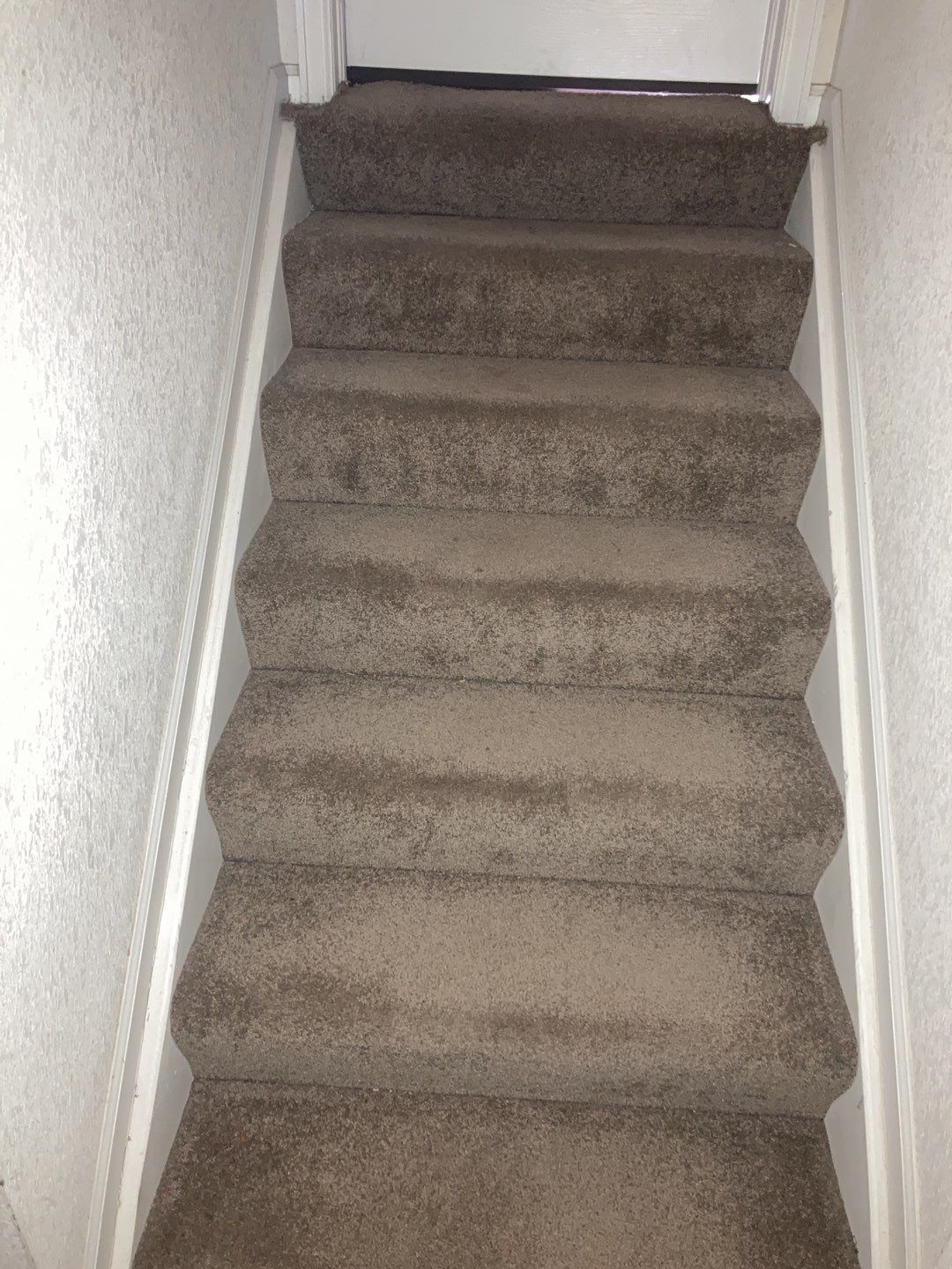 Mold Remediation in Kitchen by Accountable Home Services