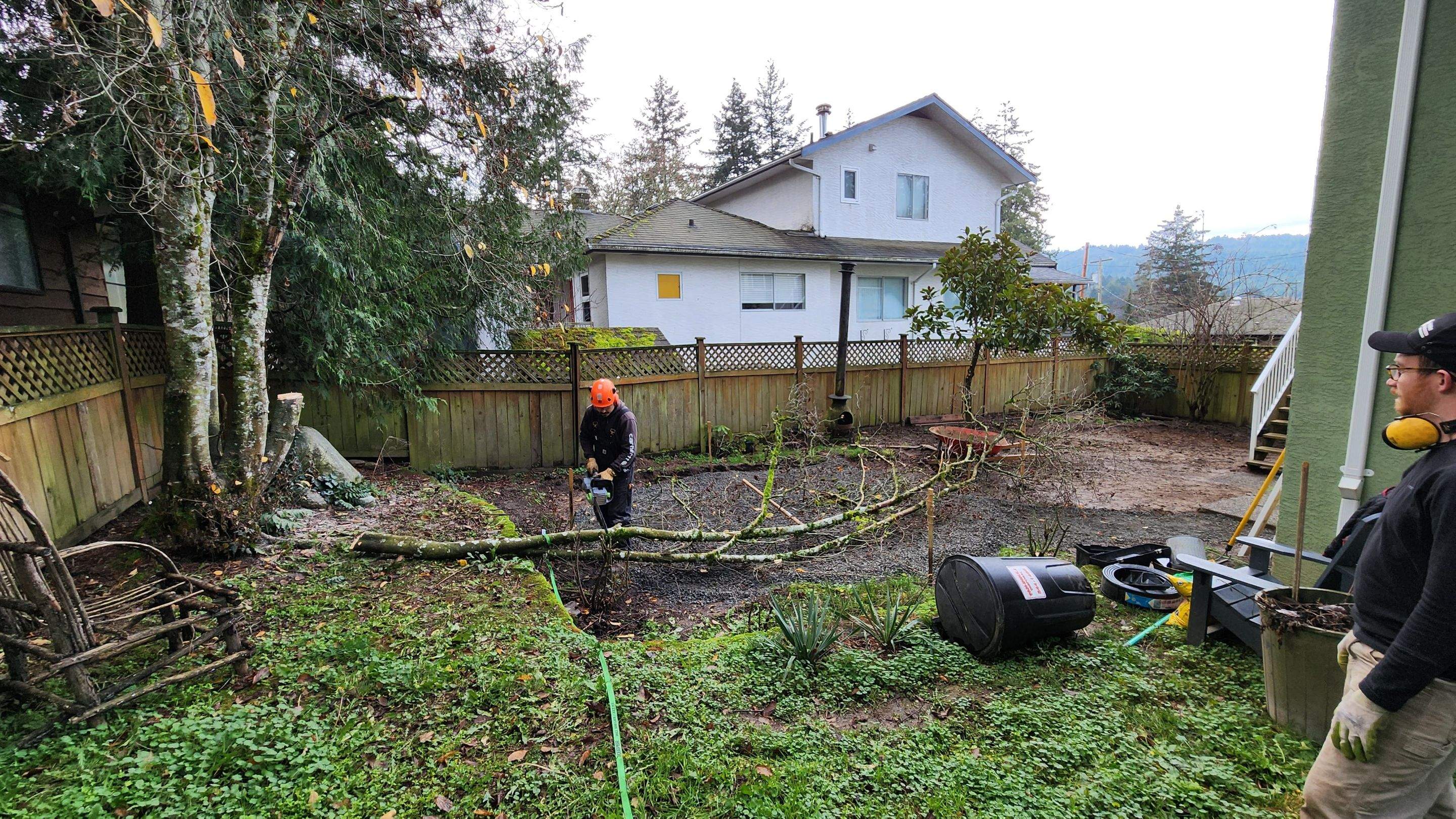 Backyard Transformation – Grading, Eco-Lawn & West Coast-Inspired Design by Habanero Garden and Exterior Care