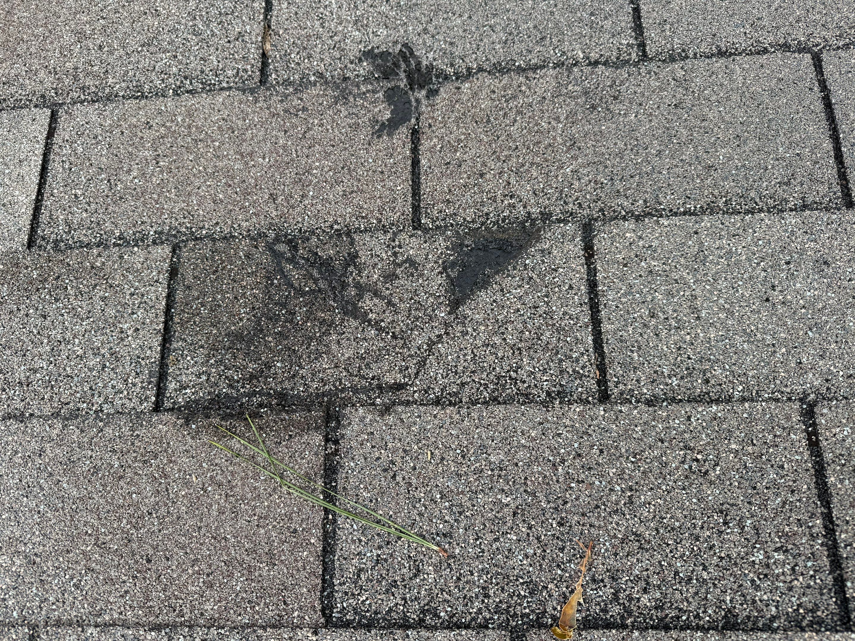 New Caney Roof Installation using Atlas Pinnacle Pristine by Modern BYLT Roofing & Construction