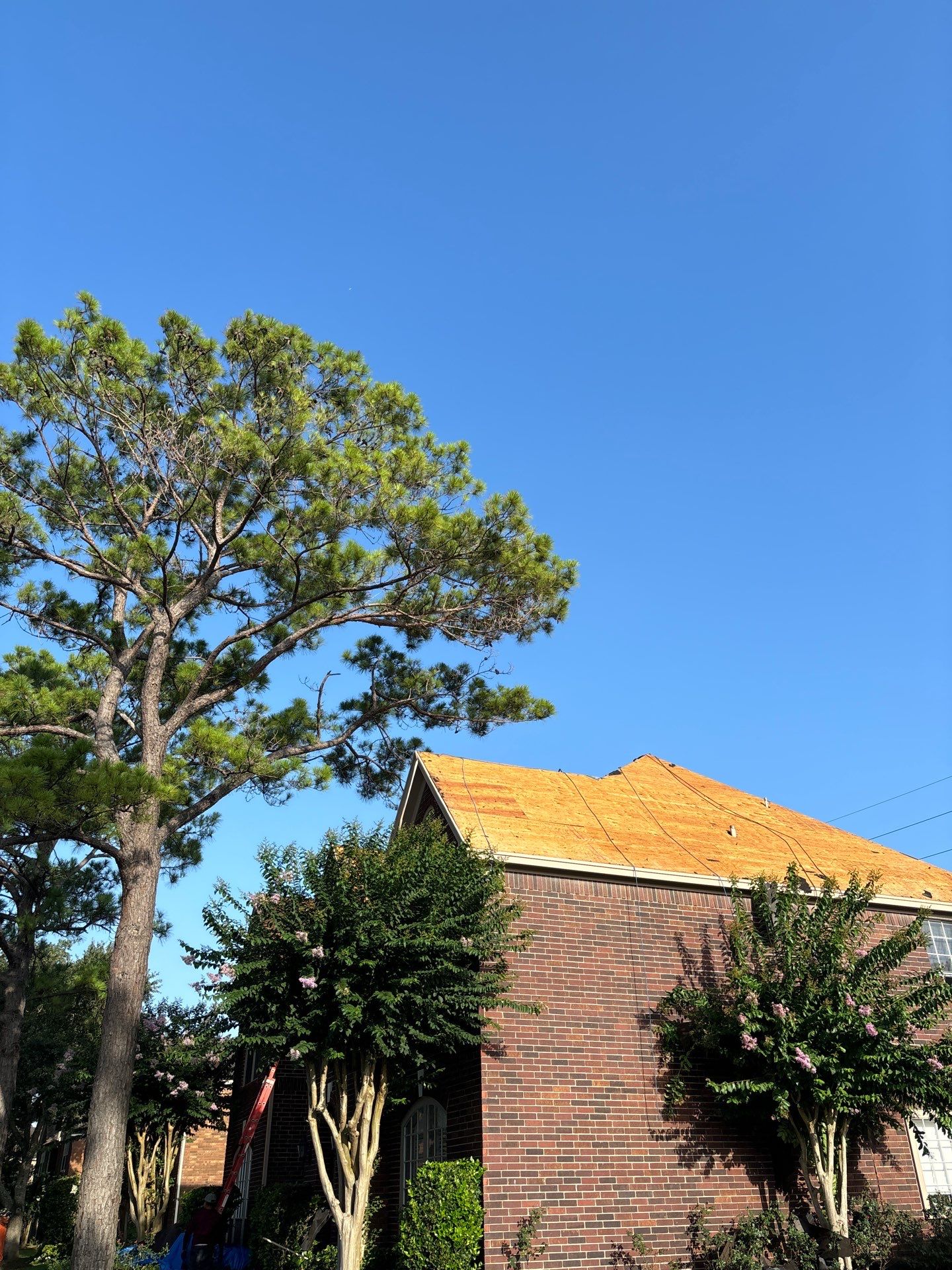 Roof Replacement Missouri City by Roof Repair Services LLC