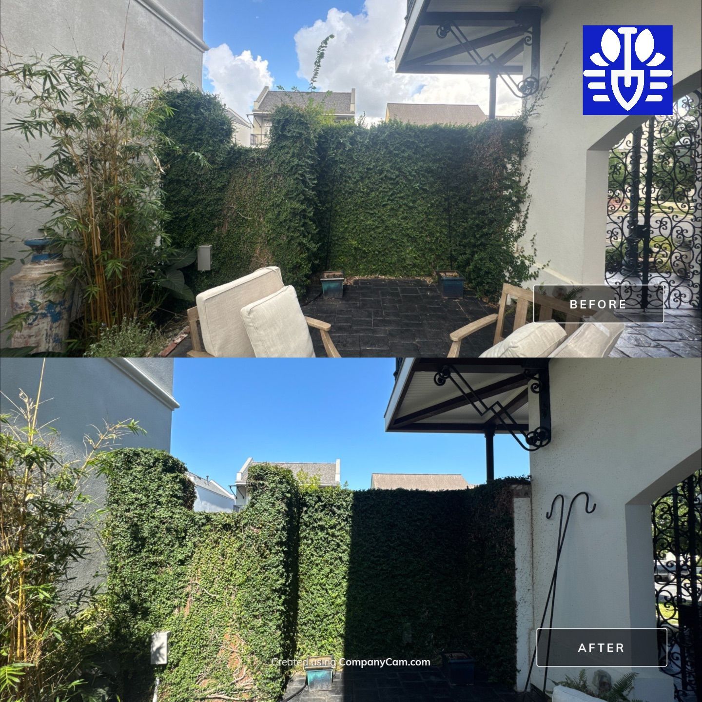 LANDSCAPE SERVICES: VINE TRIM AND BED CLEAN UP by CutScape, LLC.