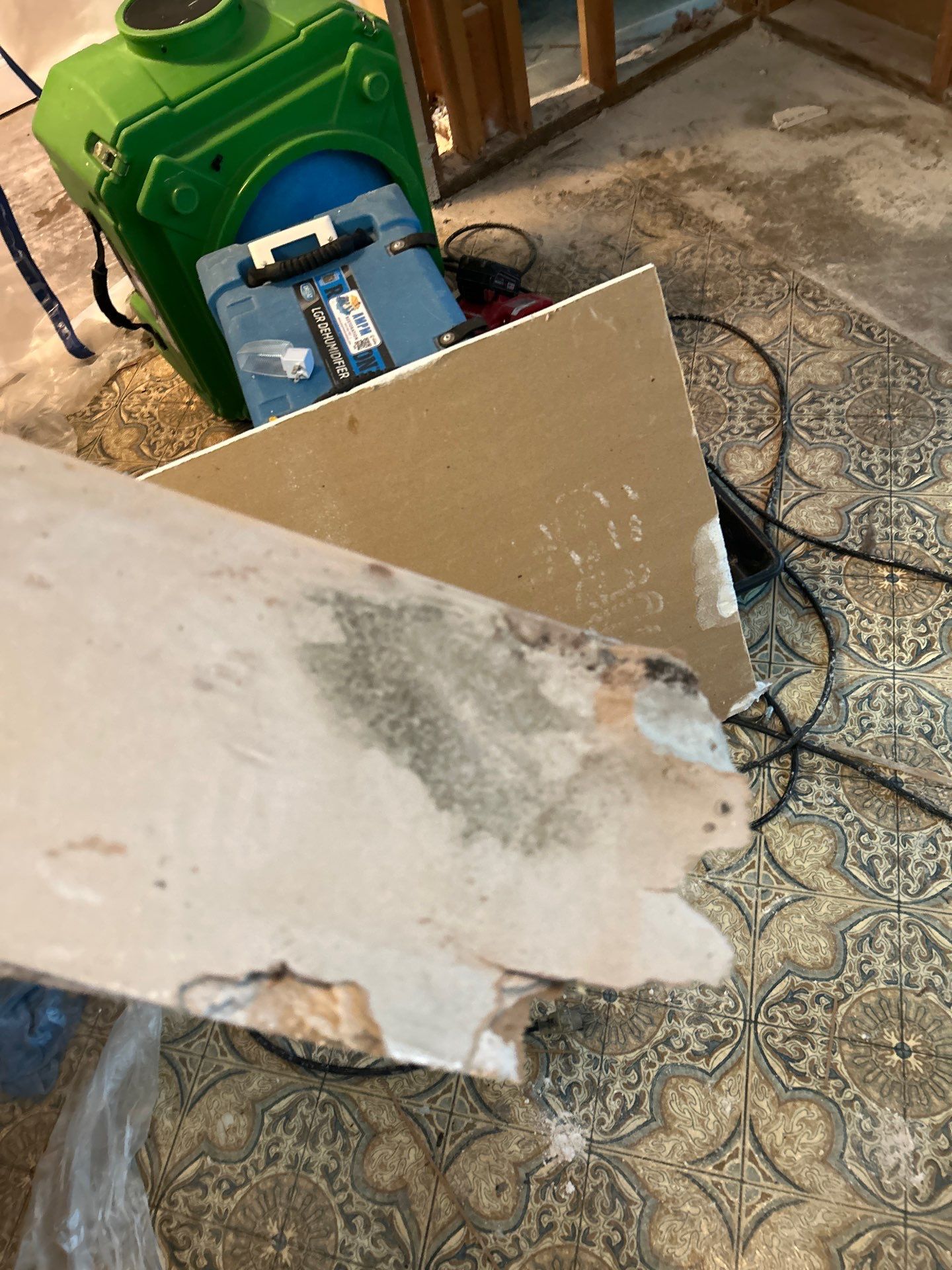 Black Mold Removal In Venice Florida by Ampm Restoration Services