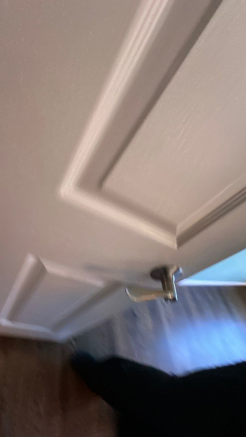 Fairfax Station: Multi-Trade Tree Damage Restoration by RM Banning, Inc.