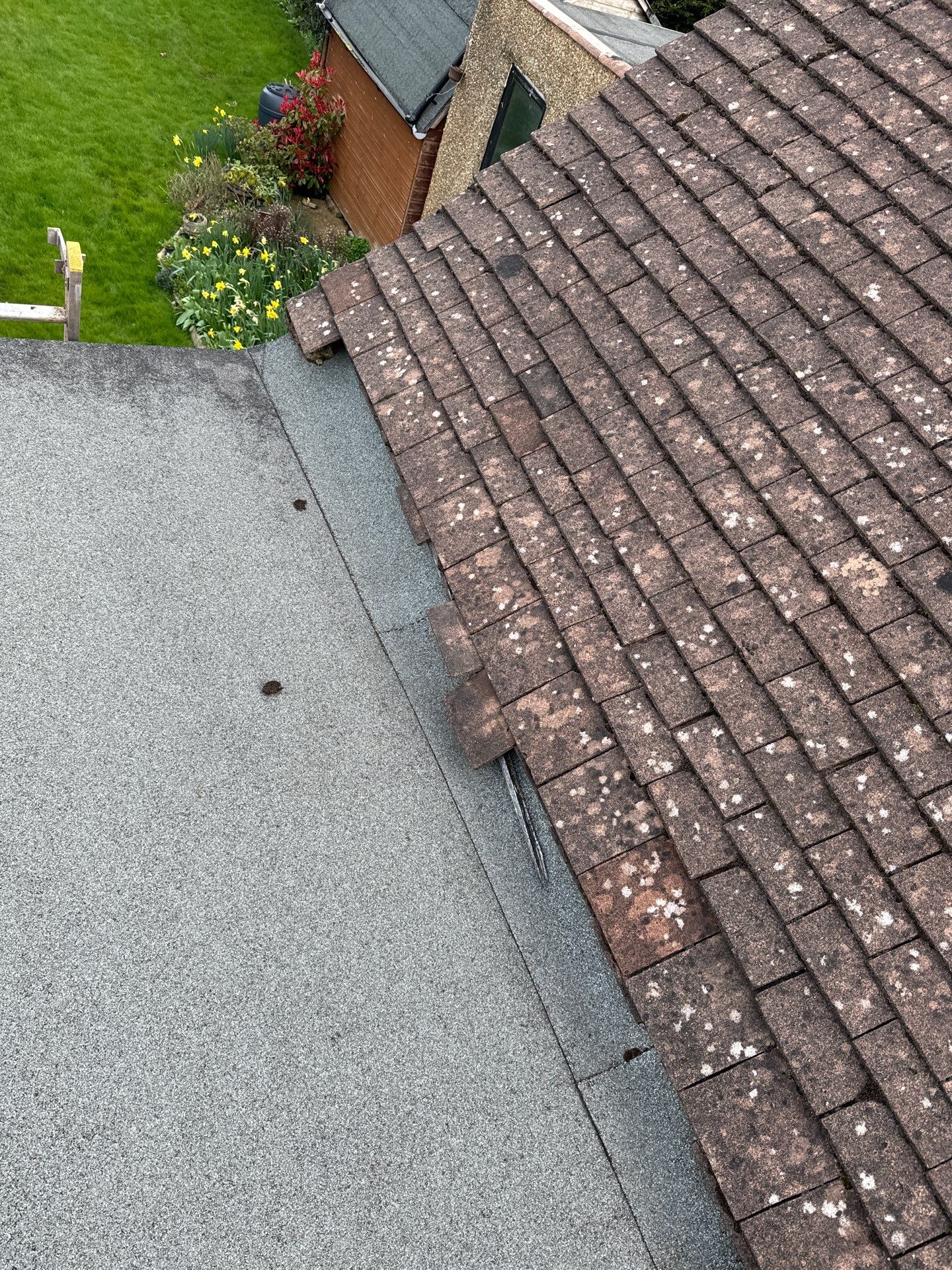 Exterior Clean - Roof - Patio - Driveway using honda 21 ltr/min by Ges Exterior Cleaning ltd