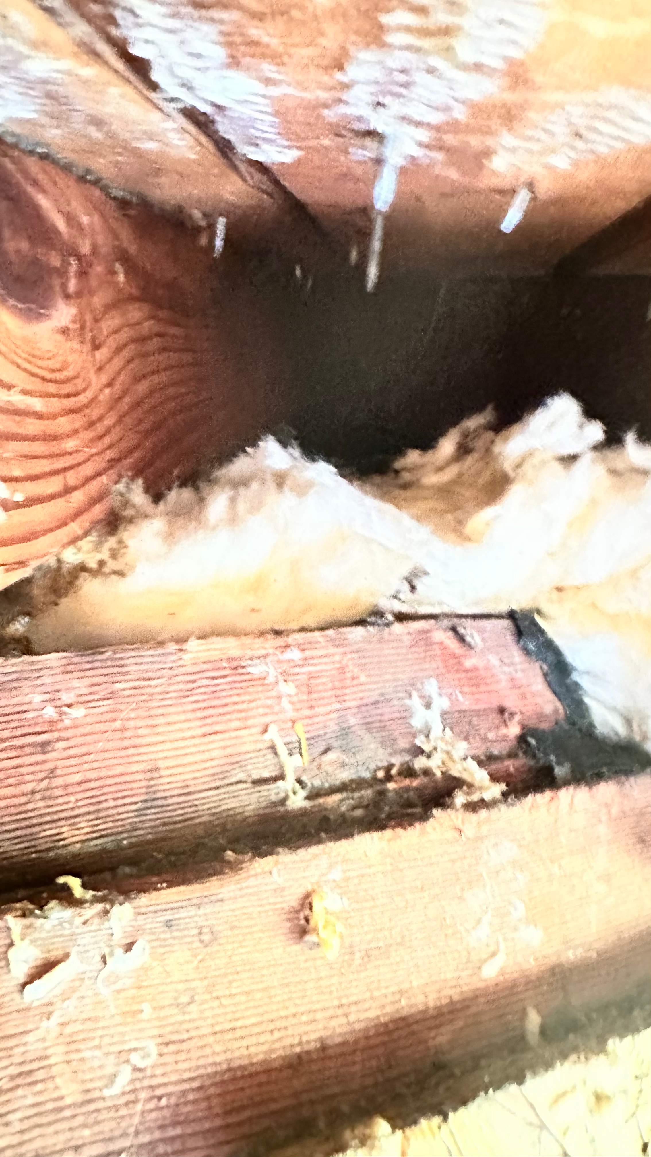 Golf Couse by Rockwall Honey Bee Company