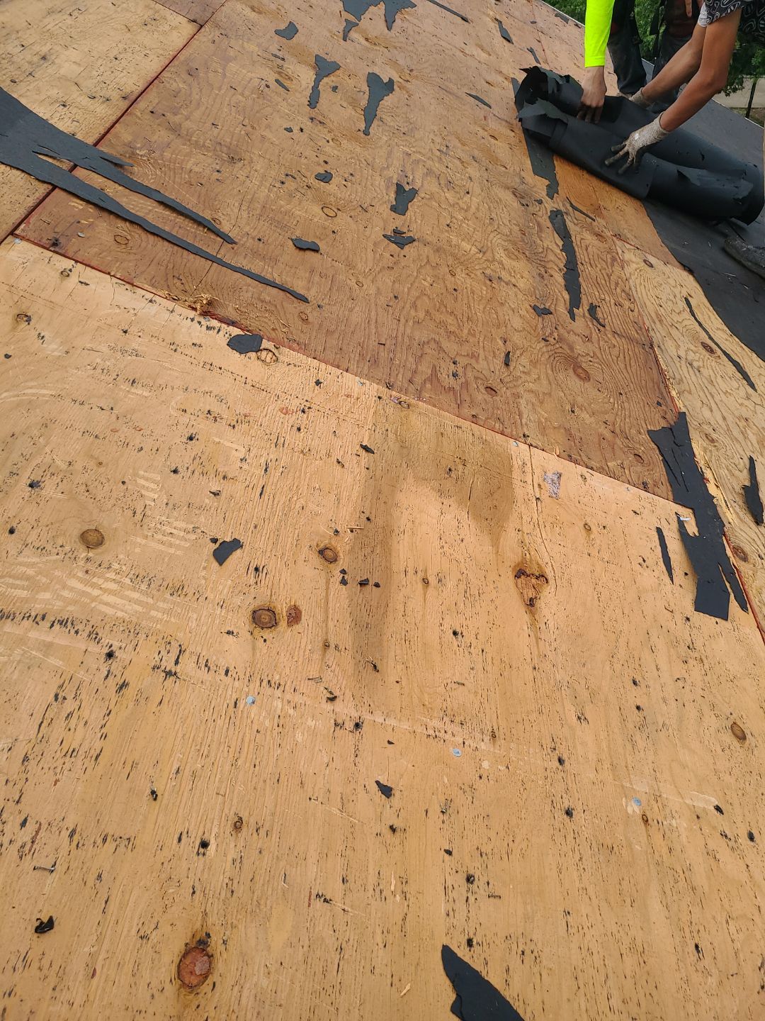 Alexandria: Roof Replacement with CertainTeed Landmark Pro in Max Def Burnt Sienna by RM Banning, Inc.