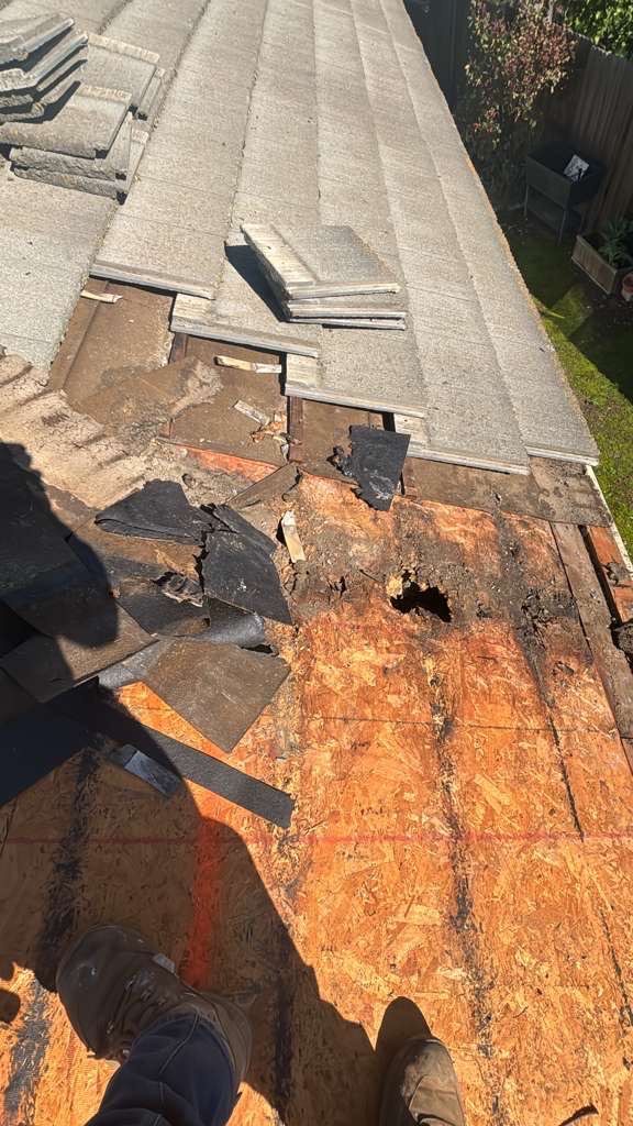 Project in Elk Grove  by NuLead Construction Inc