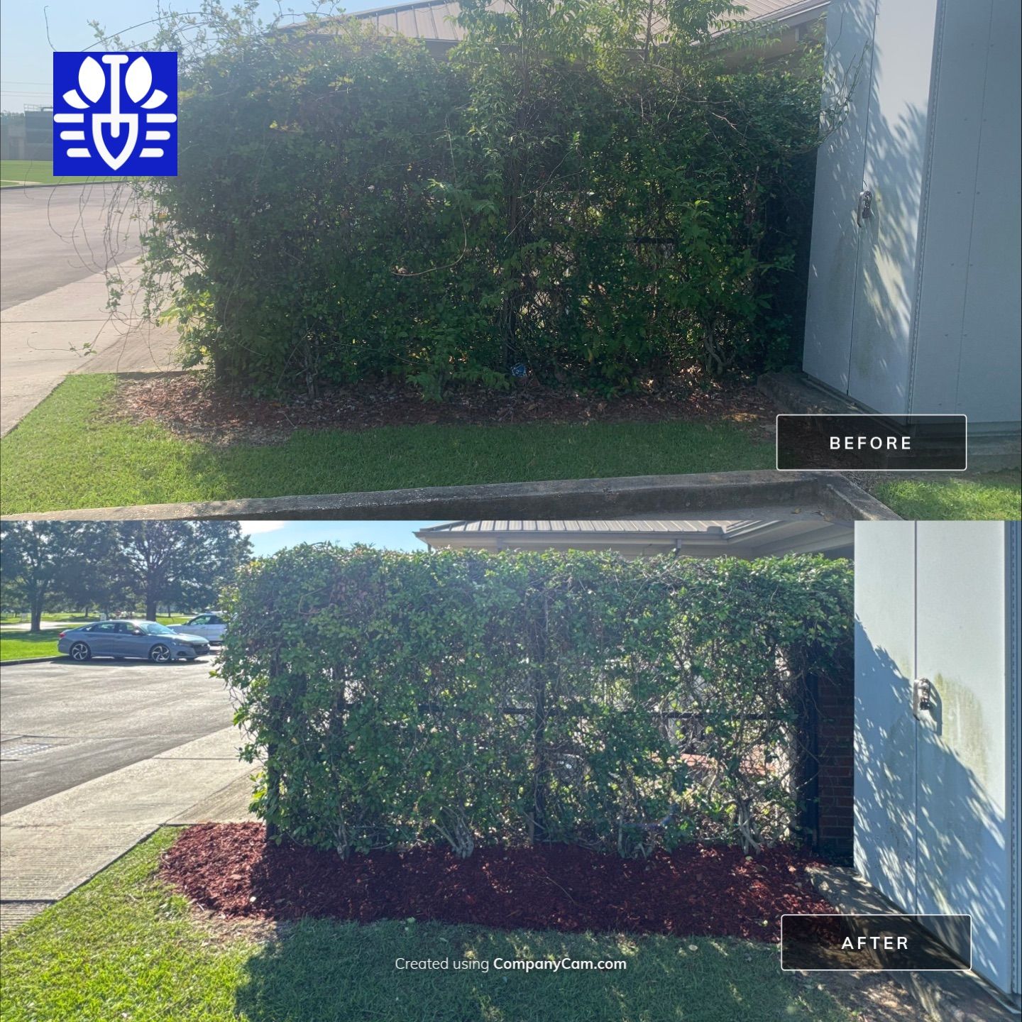 COMMERCIAL: BED CLEAN / MULCH INSTALL by CutScape, LLC.