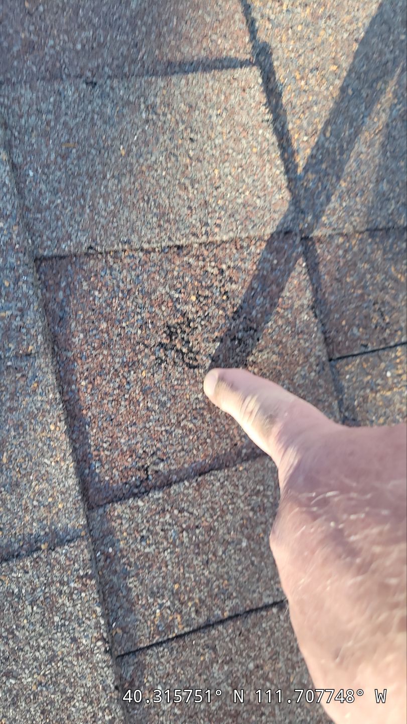 Roof Replacement After Hail Damage – Insurance Approved by ASAP Roofing & Exteriors