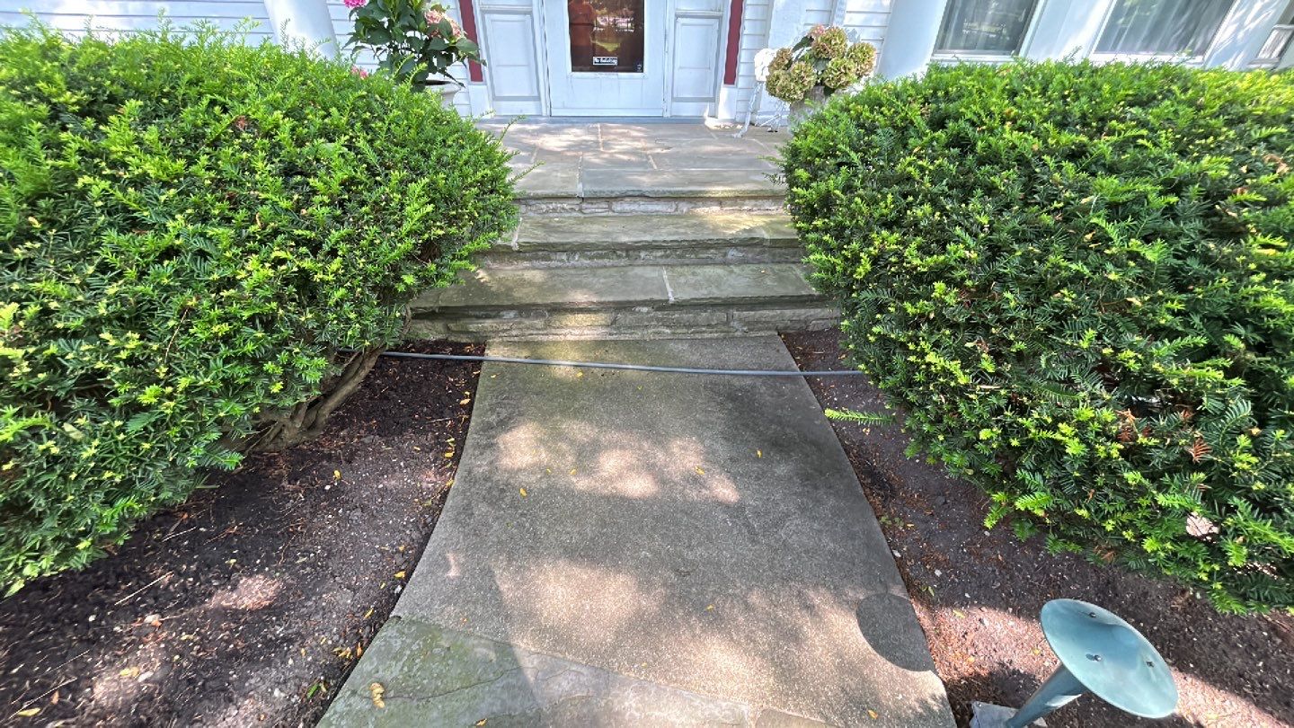 Housewashing  using Algaecide, soft wash soap by Northern Power Washing LLC.