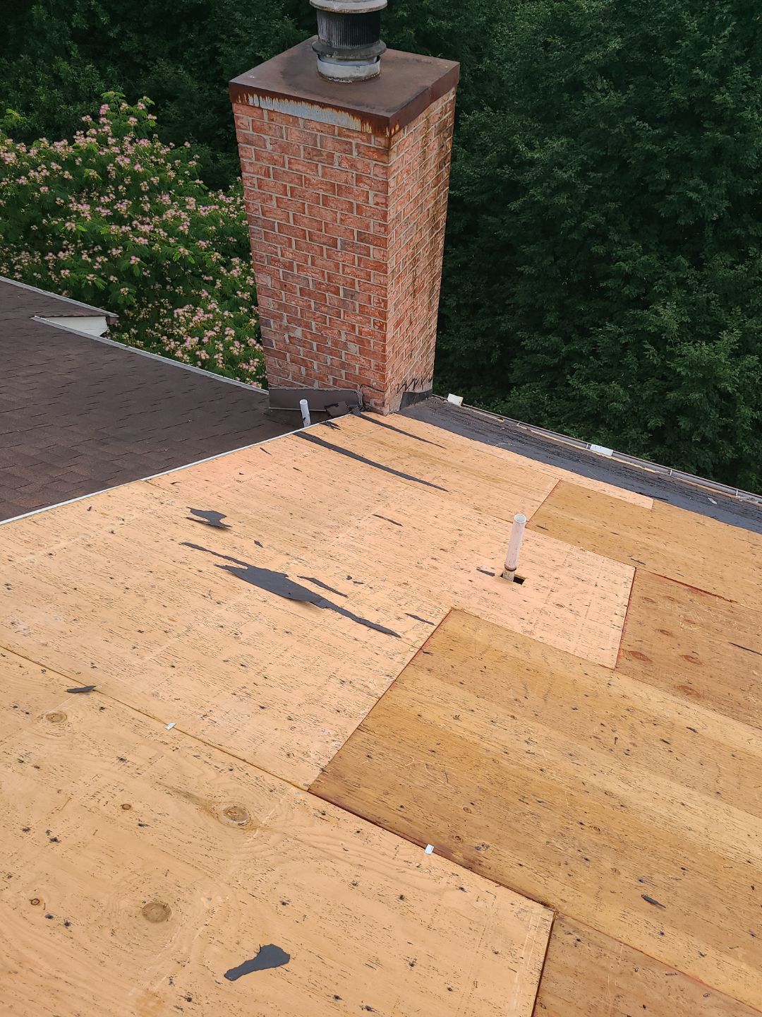 Alexandria: Roof Replacement with CertainTeed Landmark Pro in Max Def Burnt Sienna by RM Banning, Inc.