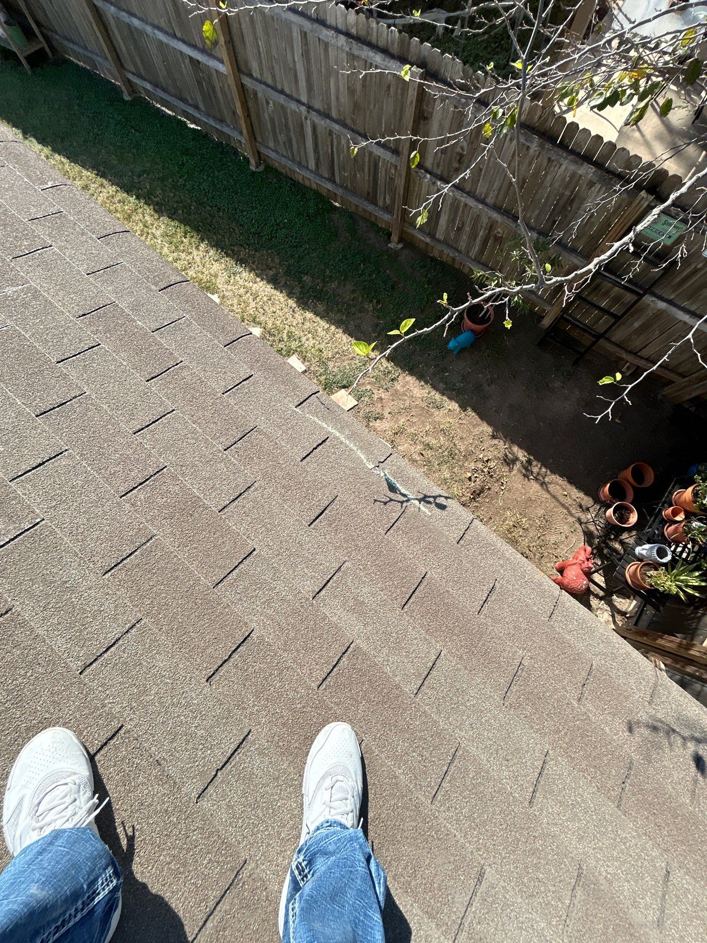 Miss Bridgette by REPS Austin Area Roofer