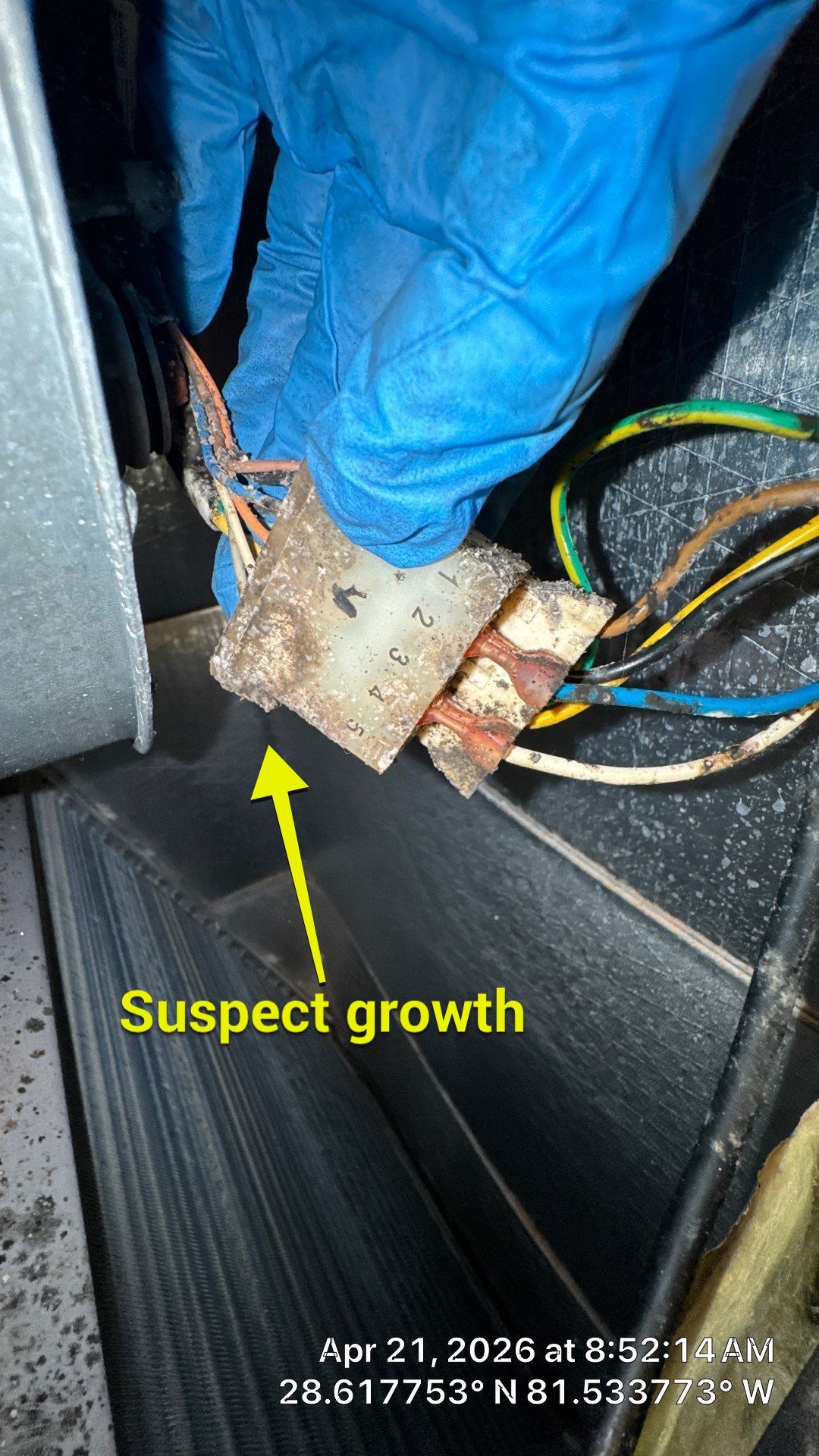 Air Duct Cleaning in Ocoee by Hygienic Air, Inc