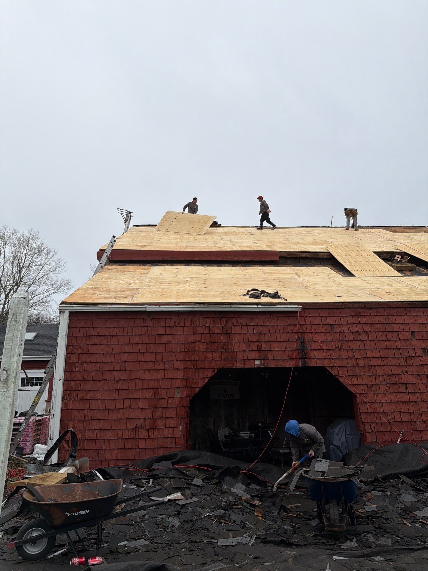 Architectural Shingle Roof Replacement for Red Barn in Falmouth by Tall pine roofing