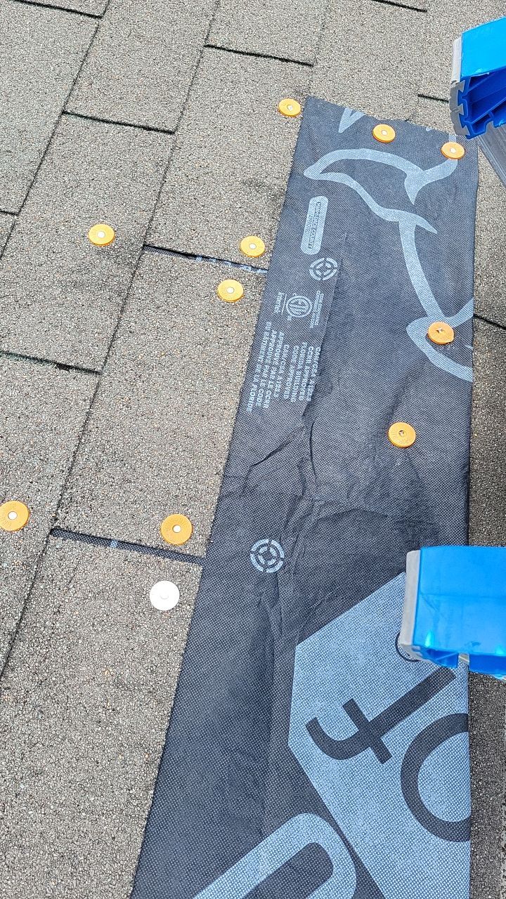 Burnt Hickory by Tamlin Roofing