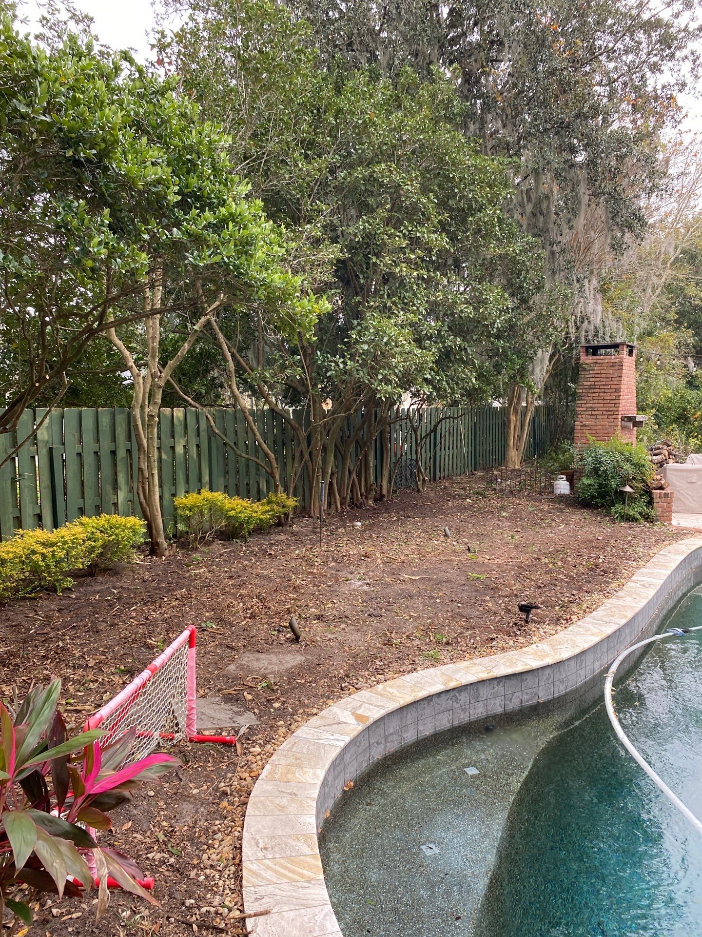 Deerwood Resident | Extreme Cleanup by ProGreen Services