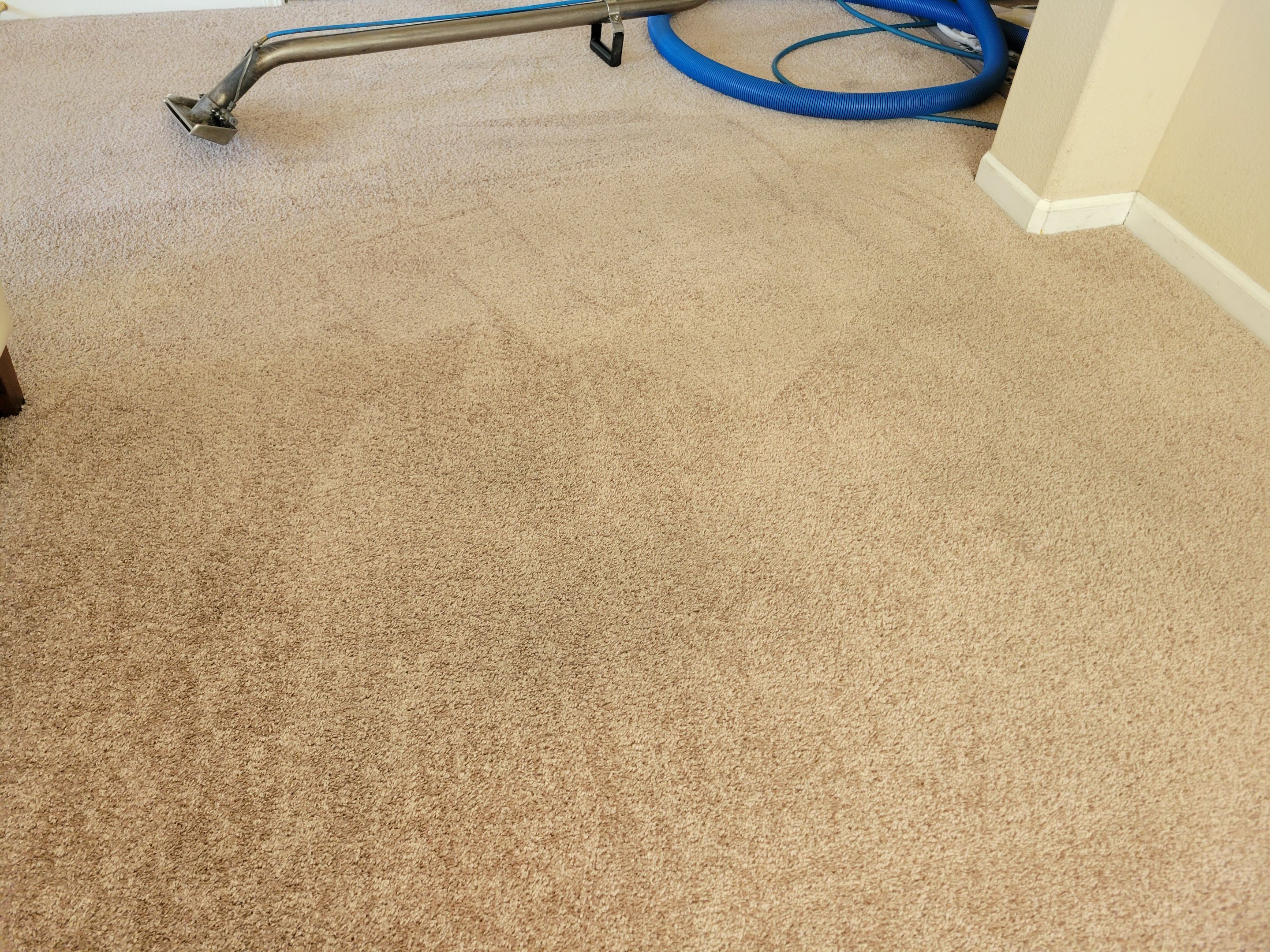 Carpet Re-stretching and Corrective Repair by Ardent Carpet Restore LLC