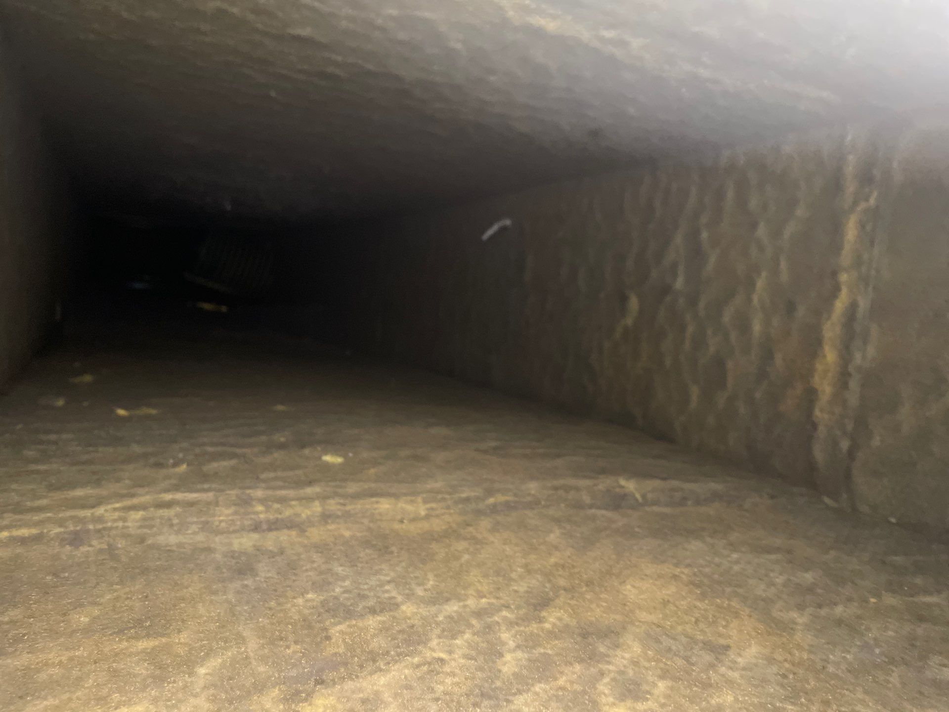 Air Duct Cleaning in Orlando by Hygienic Air, Inc