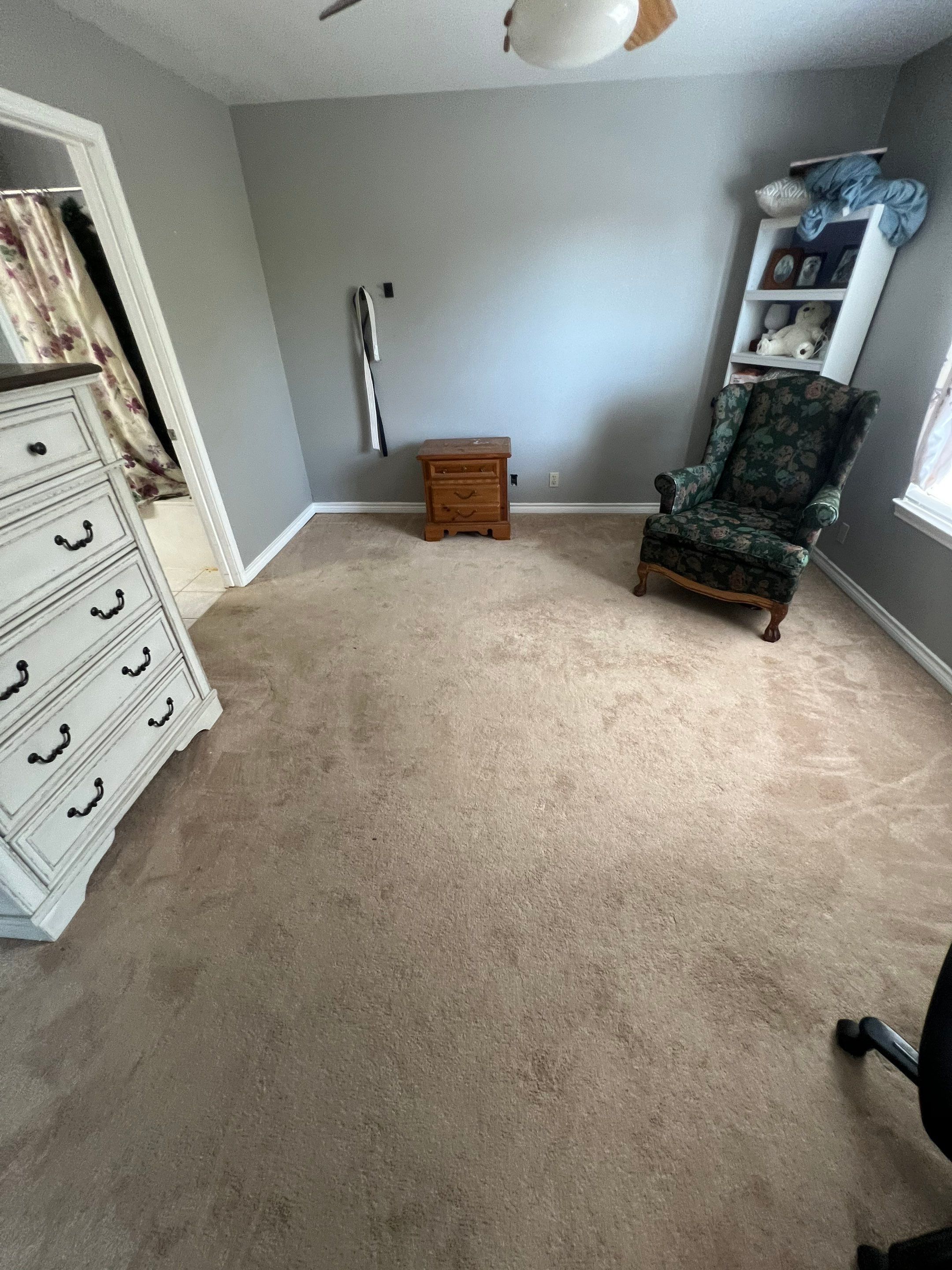 deep cleaning of the carpeted floor in a residential room with minimal furniture present