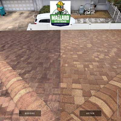 Shingle Roof Cleaning