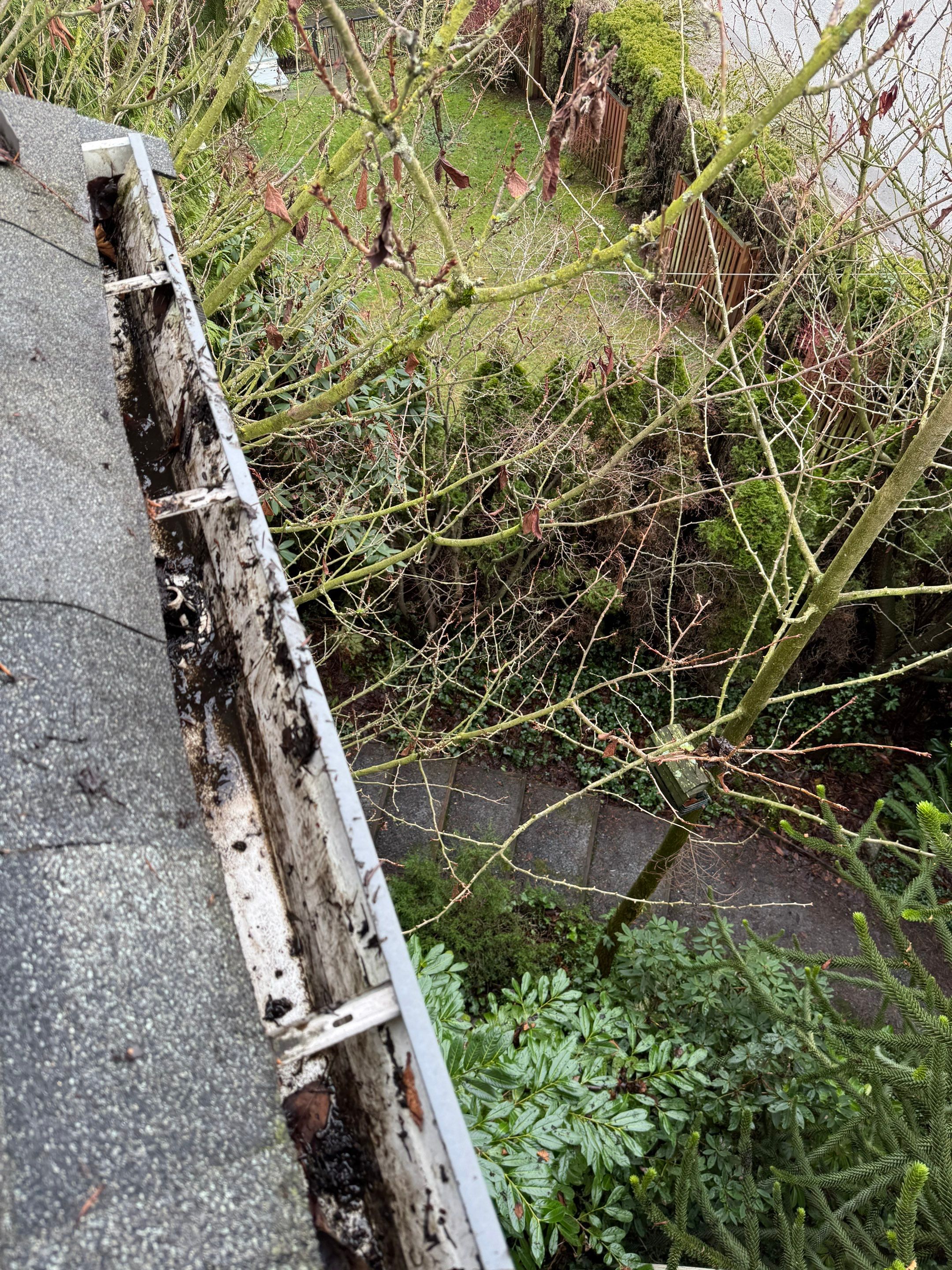 Gutter Cleaning by YVR Construction Group