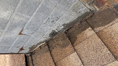 Turtle Shell gutter protection installation in Woodridge, IL 60517, photograph 16