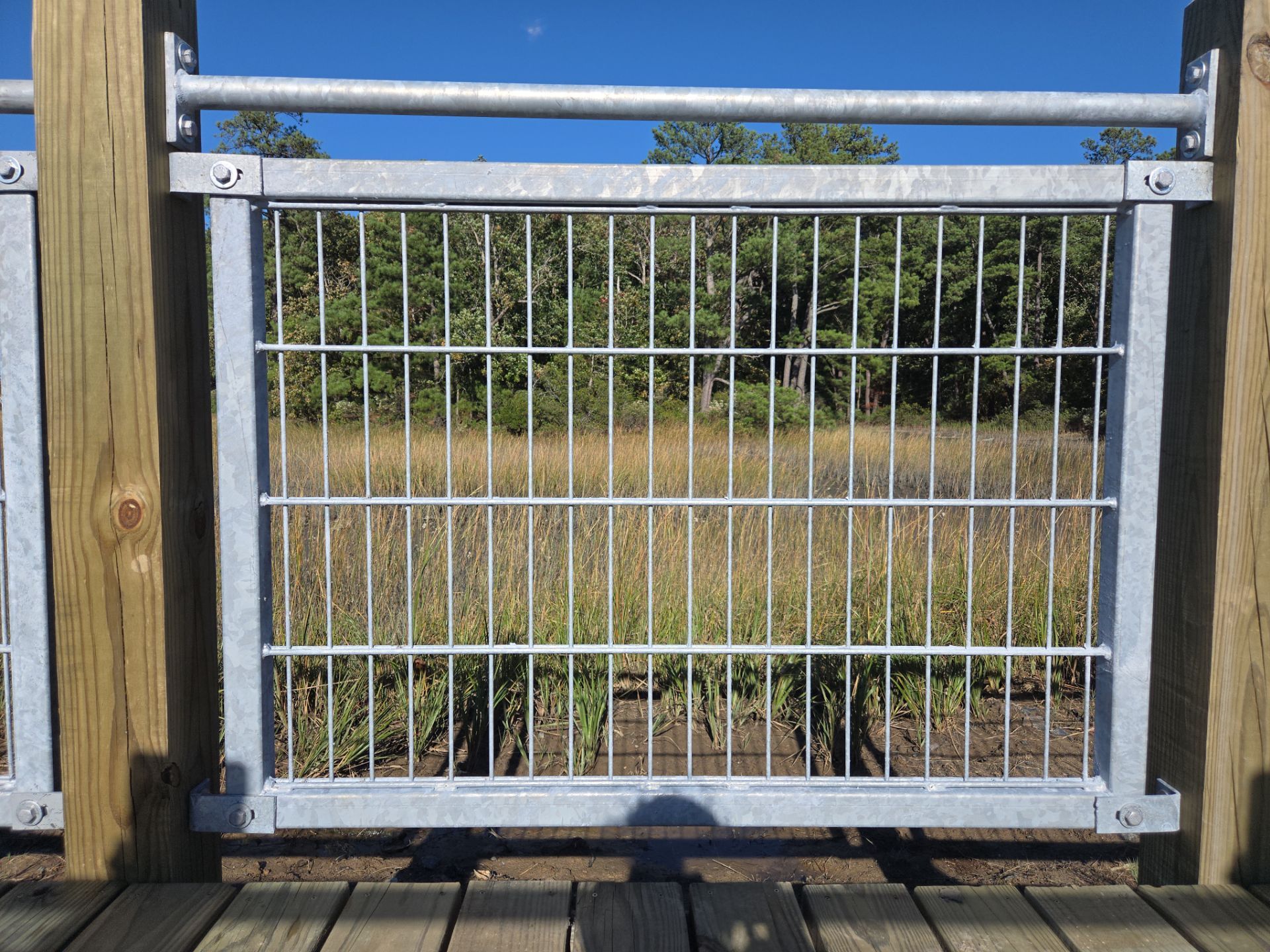 Project in Virginia Beach by Gregory Sandstrom