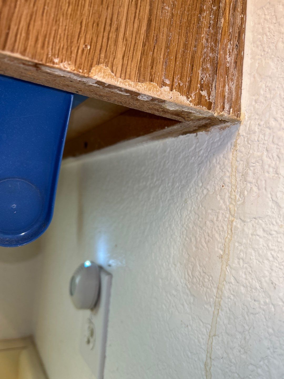 Water Damage by Accountable Home Services