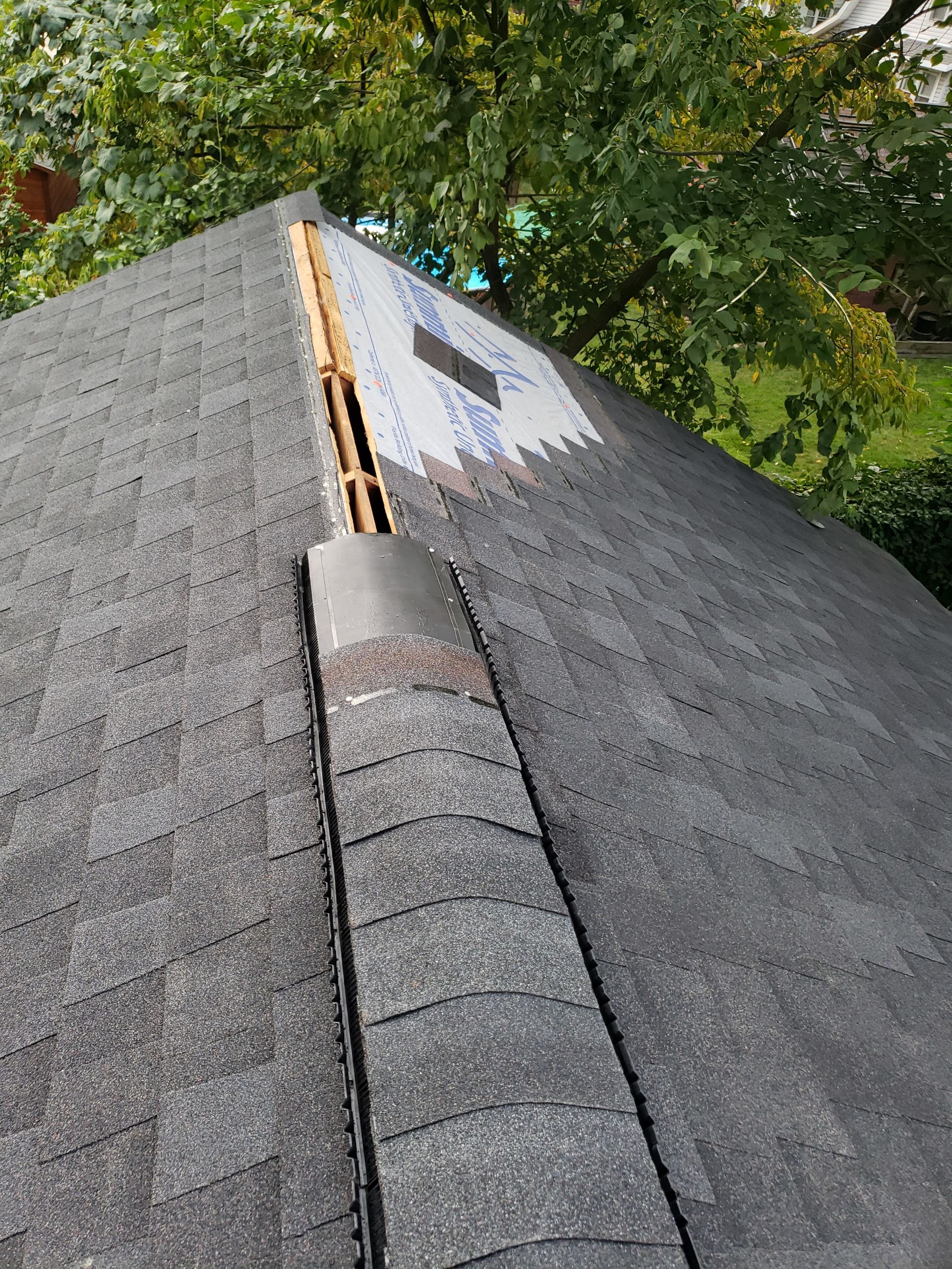 Atlas Pinnacle Pristine Scotchgard: Black Drip Edge: Black by Eagle Eye Roofing