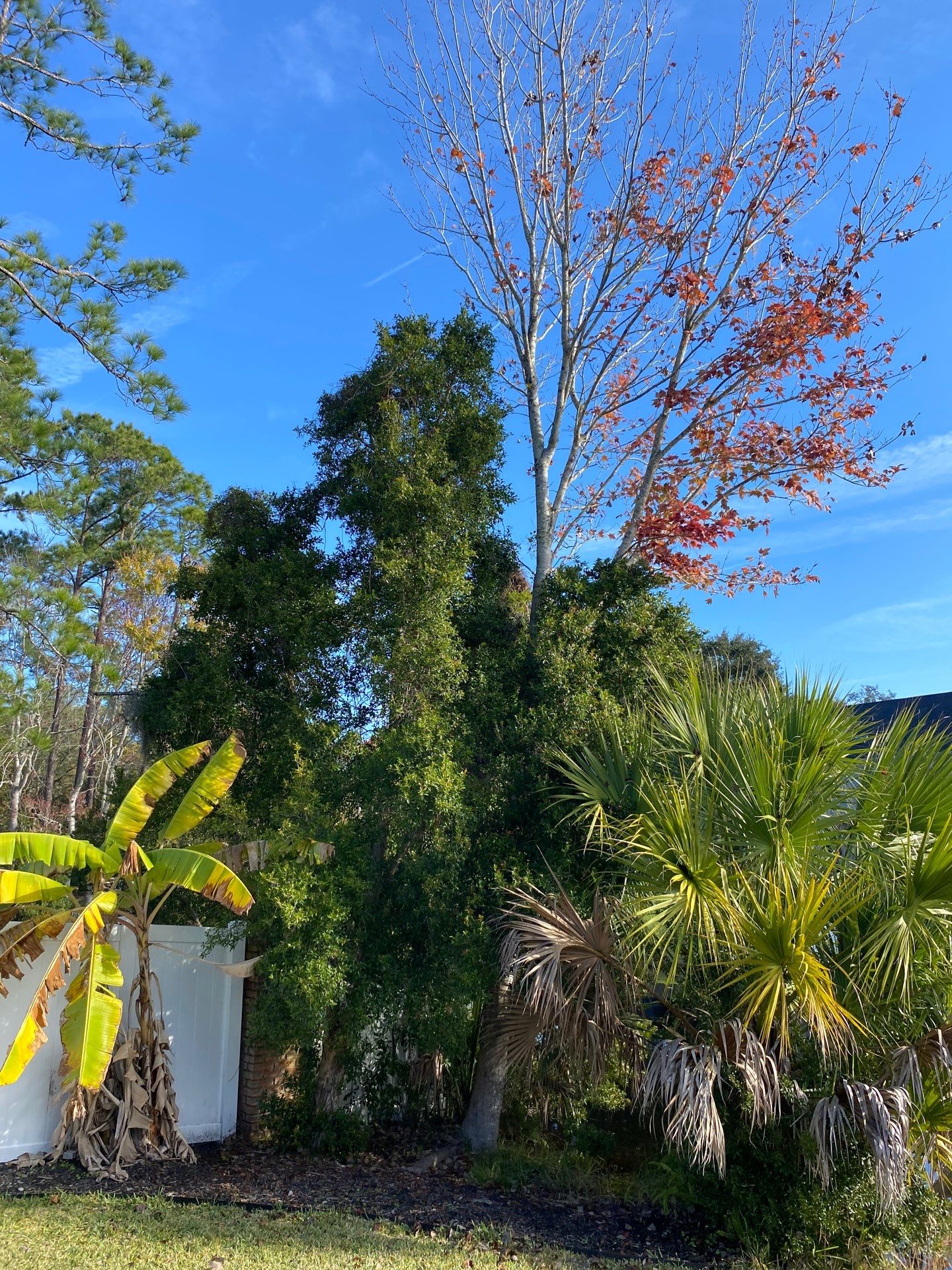 Deerwood Resident | General Landscaping by ProGreen Services