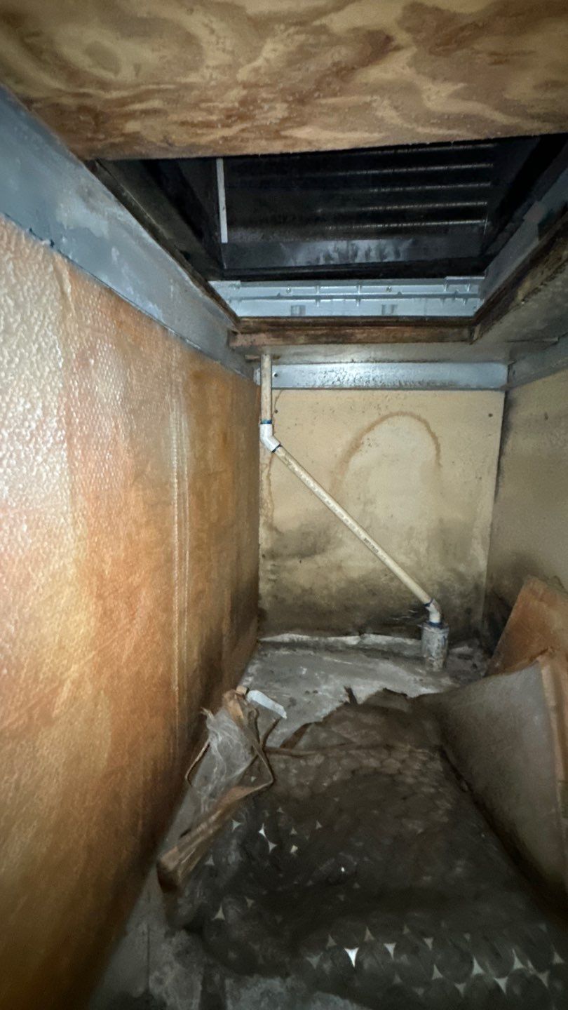 Commercial Air Duct Cleaning in Tavares by Hygienic Air, Inc