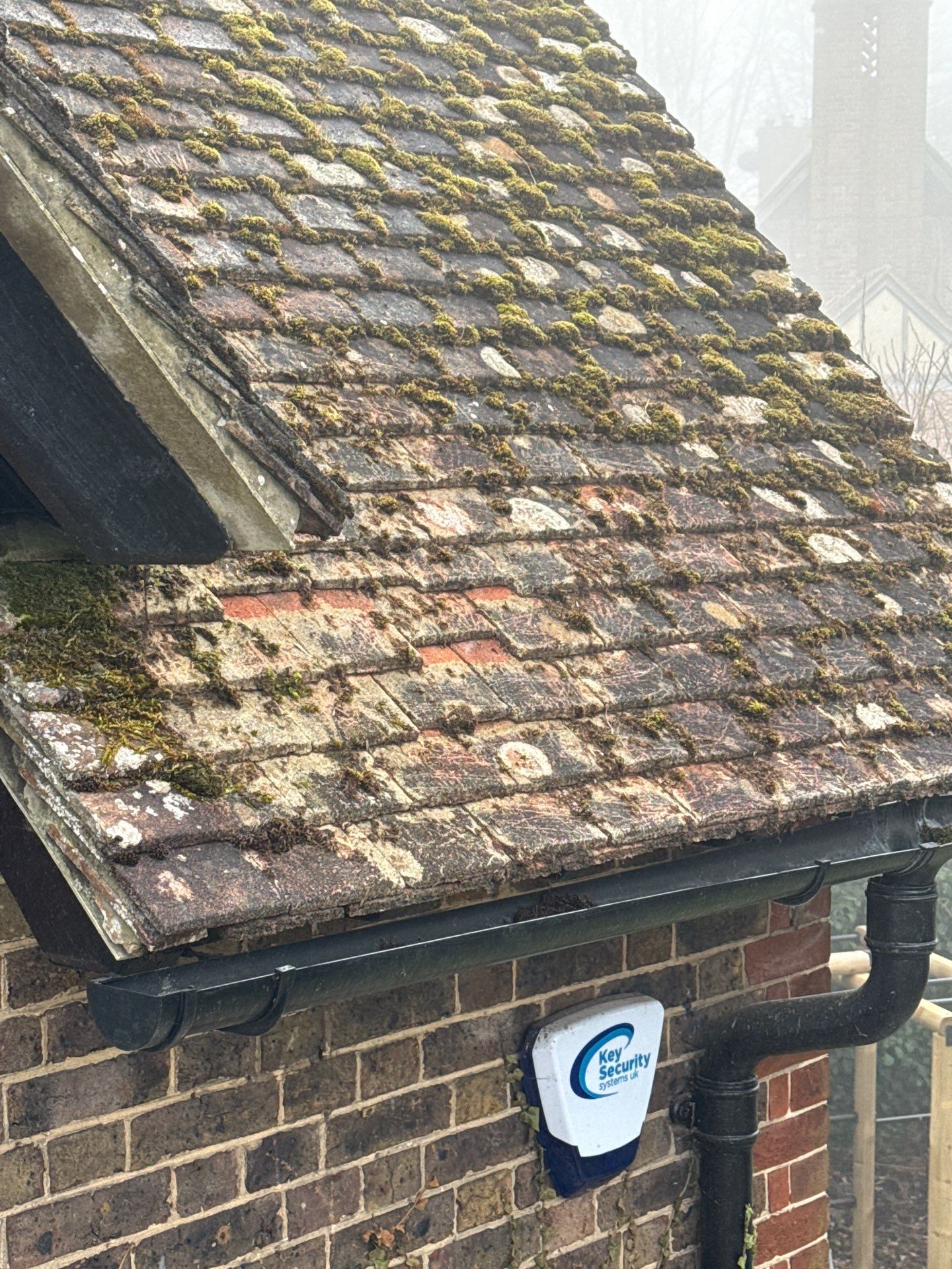Roof Clean  - Moss Removal - Gutter Clean using Honda 15lpm Low Pressure Washing Machine by Ges Exterior Cleaning ltd