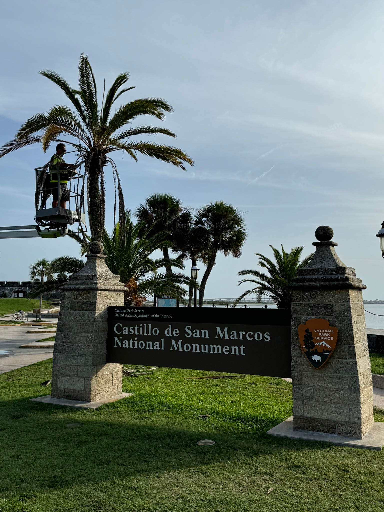 Tree Work | Castillo de San Marcos National Monument 2 by ProGreen Services