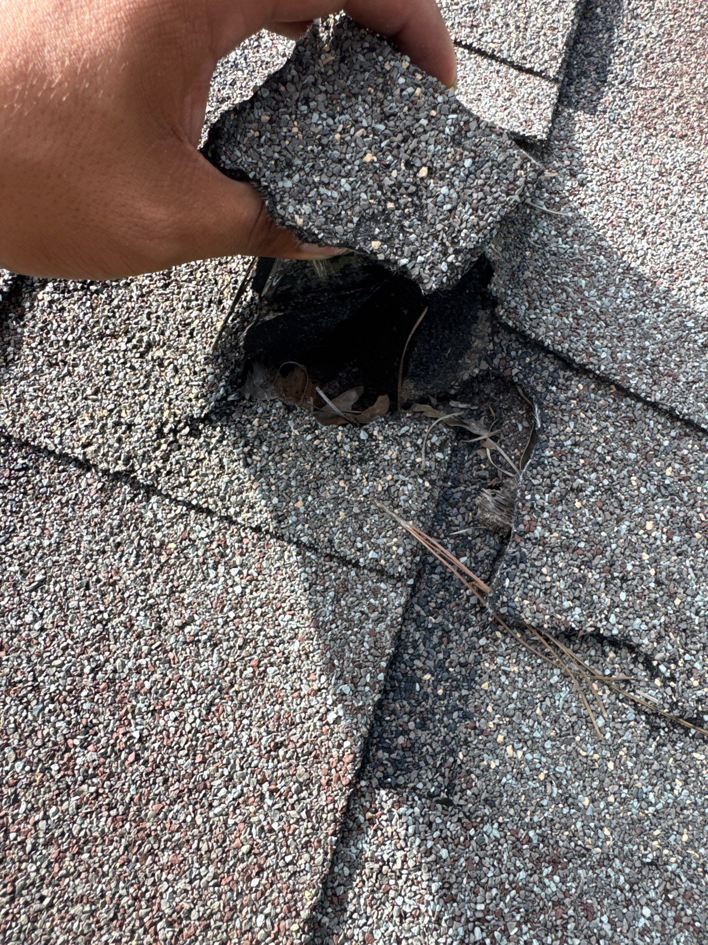 Roof Repair Grangerland by Roof Repair Services LLC