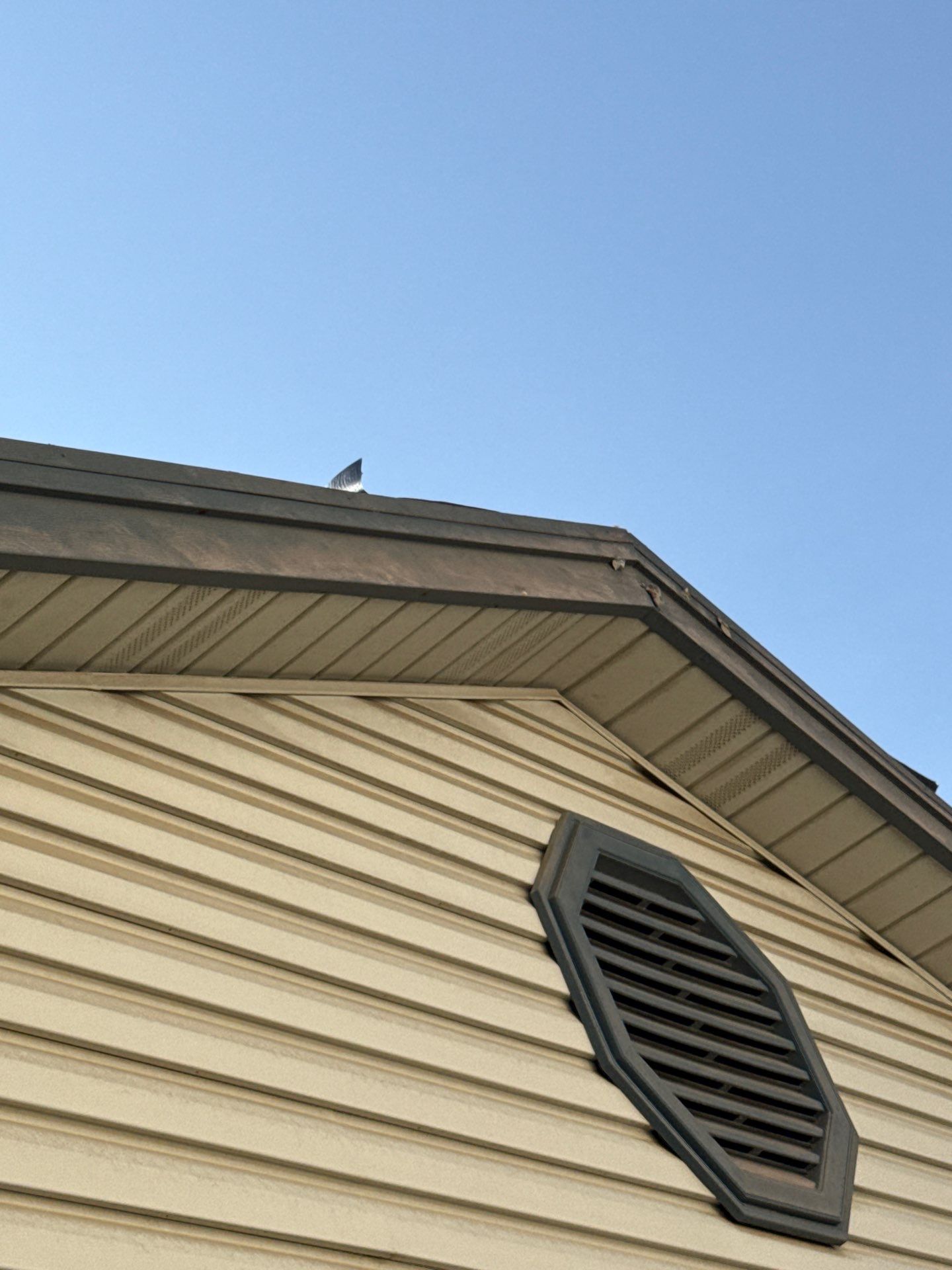 Project in San Antonio by Rhino Roofing and General Contracting, LLC