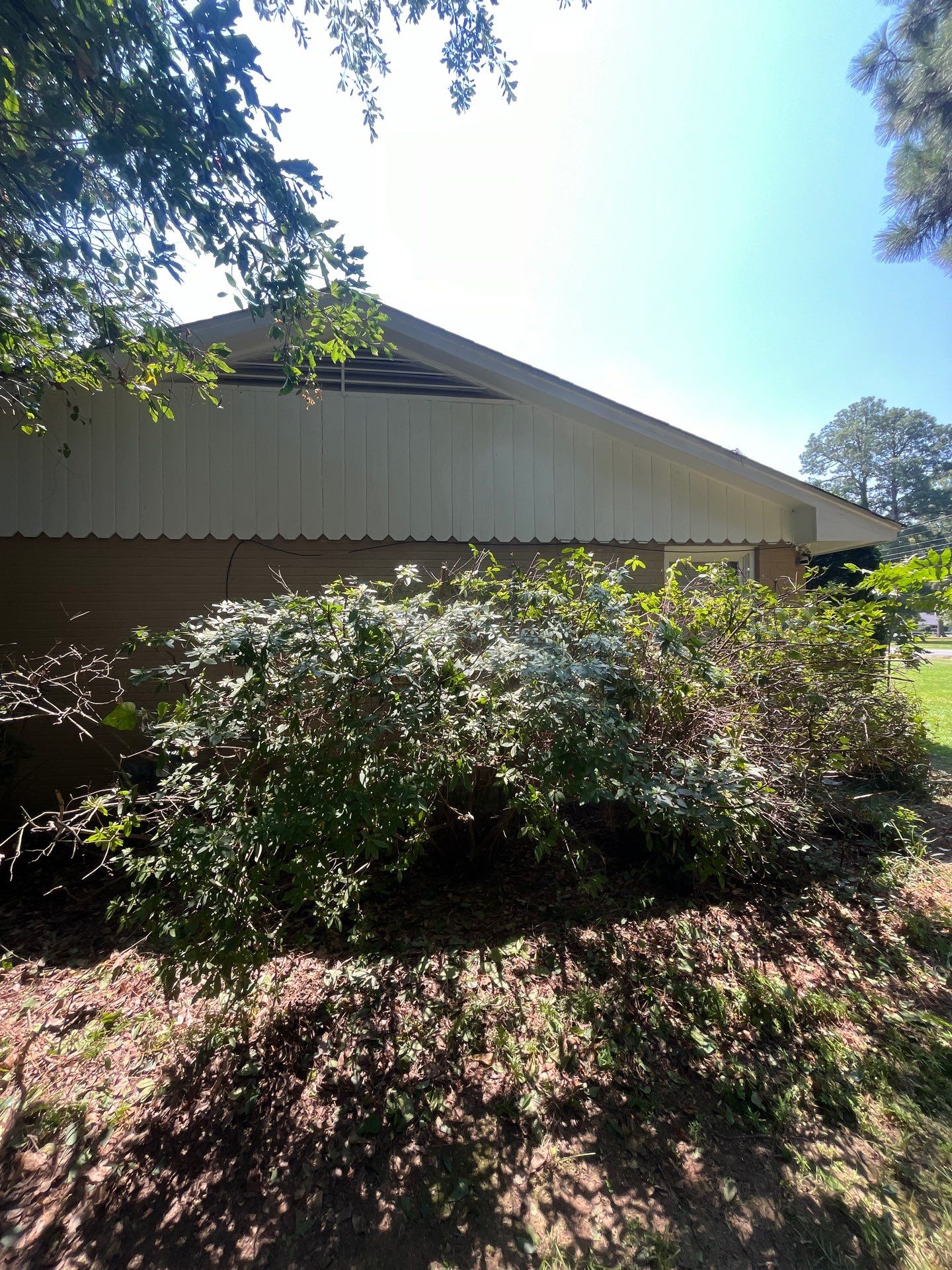Yard Makeover by College Bros Outdoor services