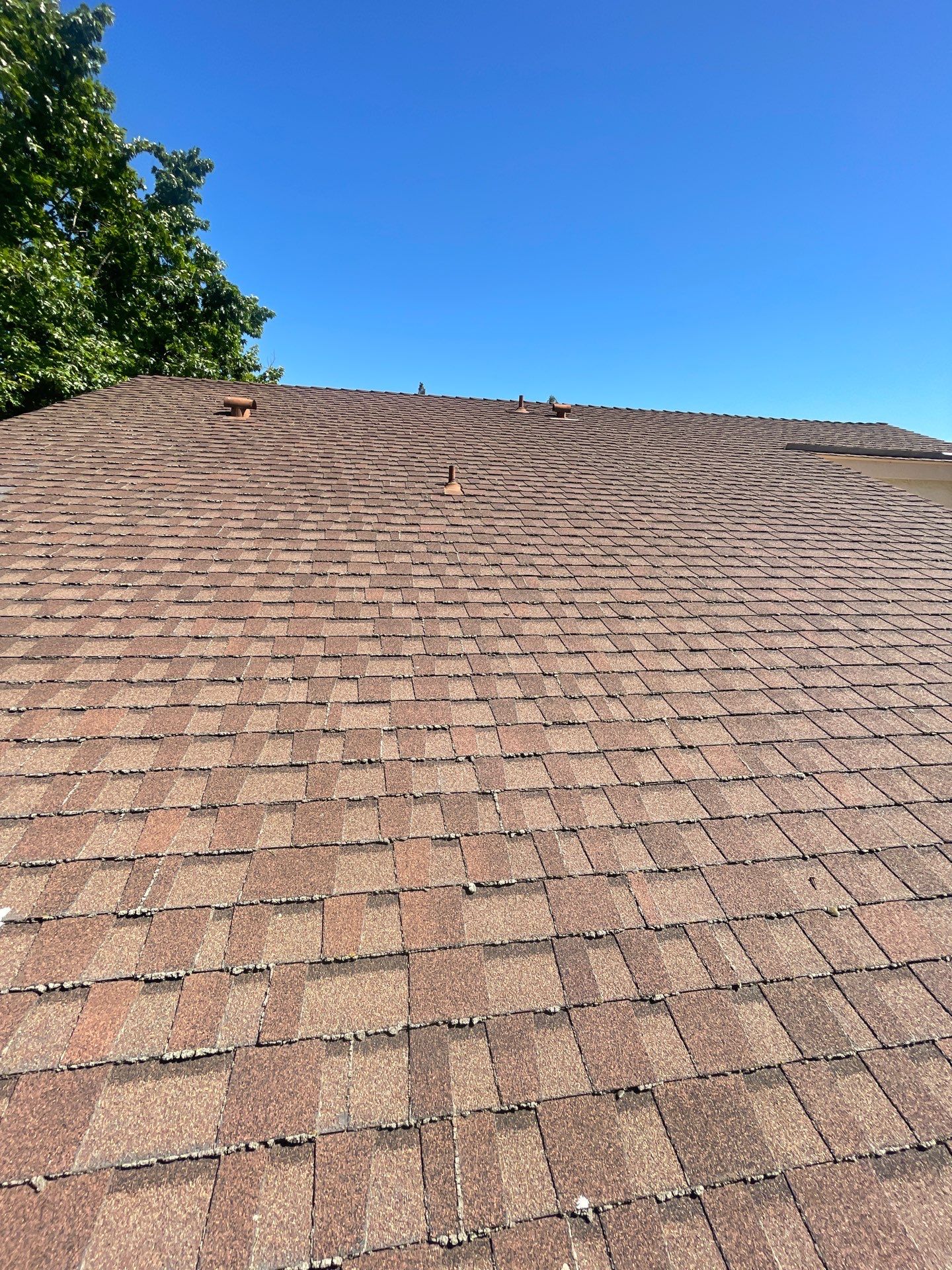 Roof Rejuvenation using Roof Maxx Treatment by Roof Maxx of Folsom
