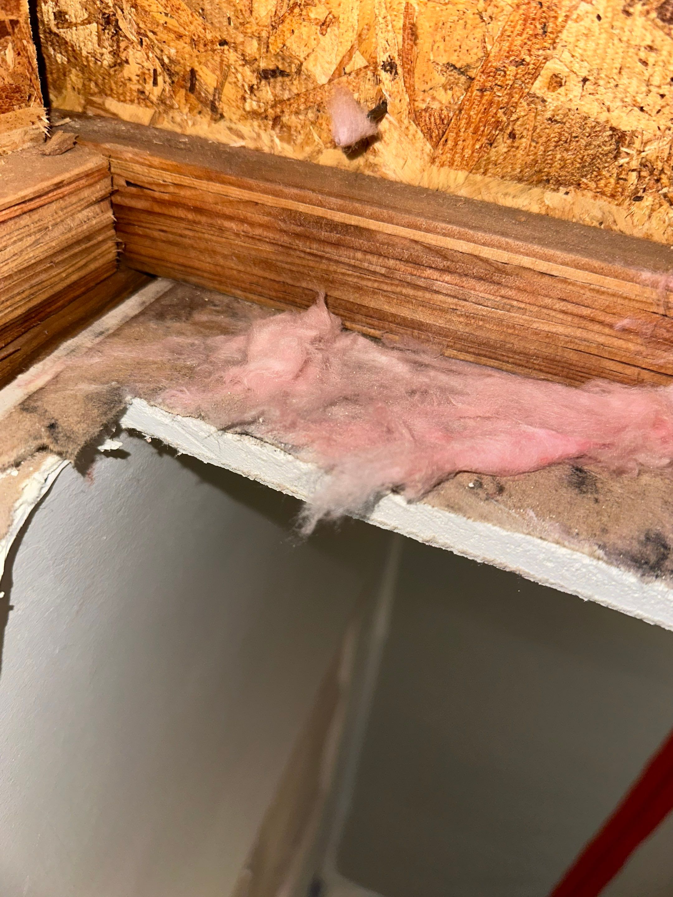 Water Damage in Denver, CO by Alpha Restoration 