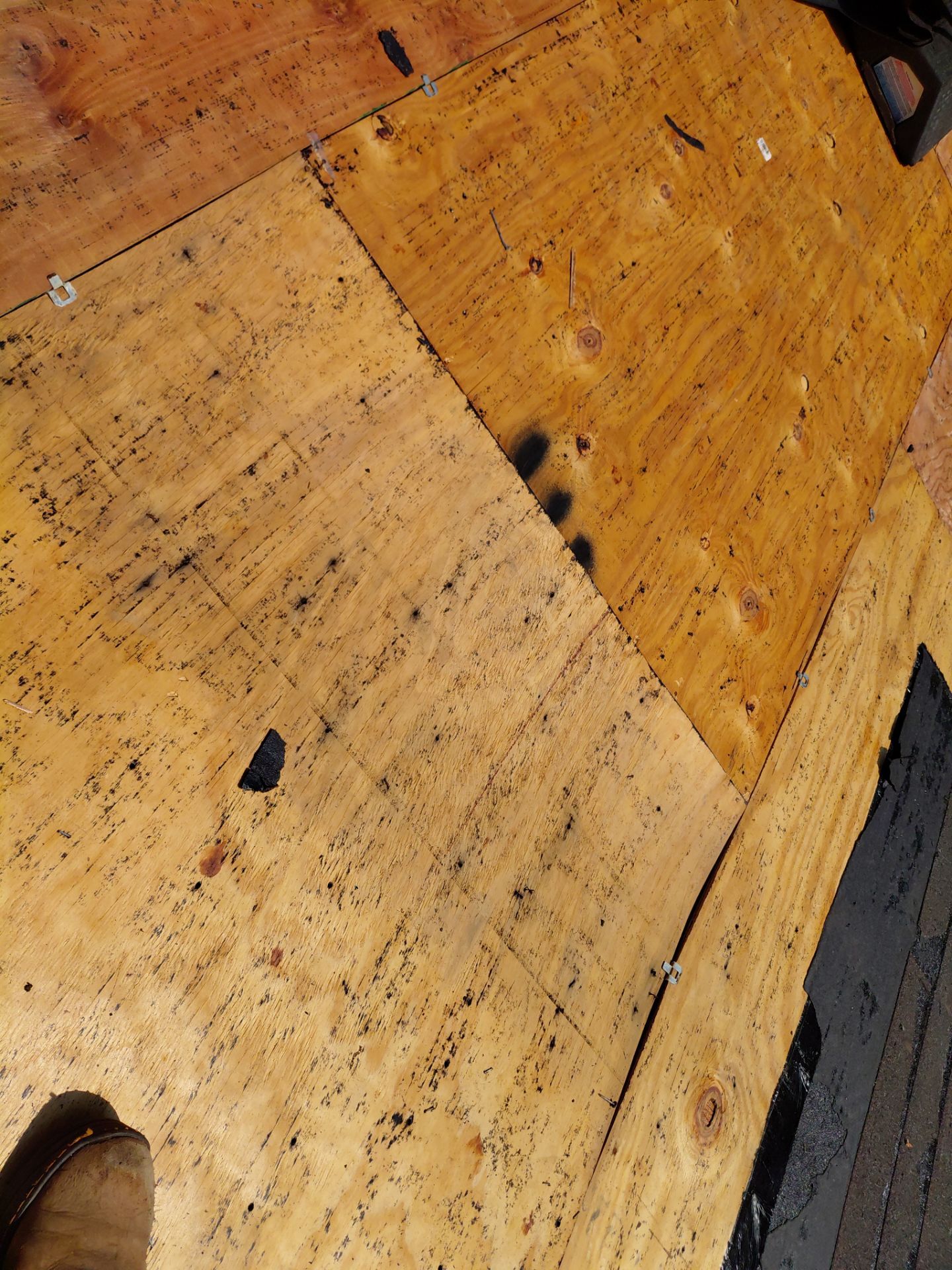 Alexandria: Residential Roof with CertainTeed Landmark Pro in Max Def Burnt Sienna by RM Banning, Inc.