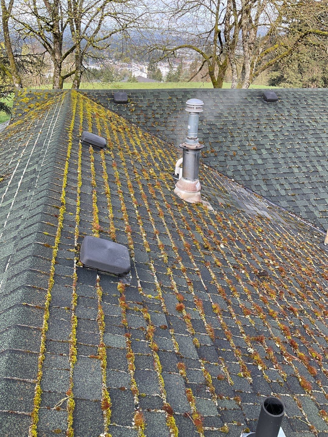 Roof Cleaning Moss Treatment by Willamette Outdoor Wash LLC