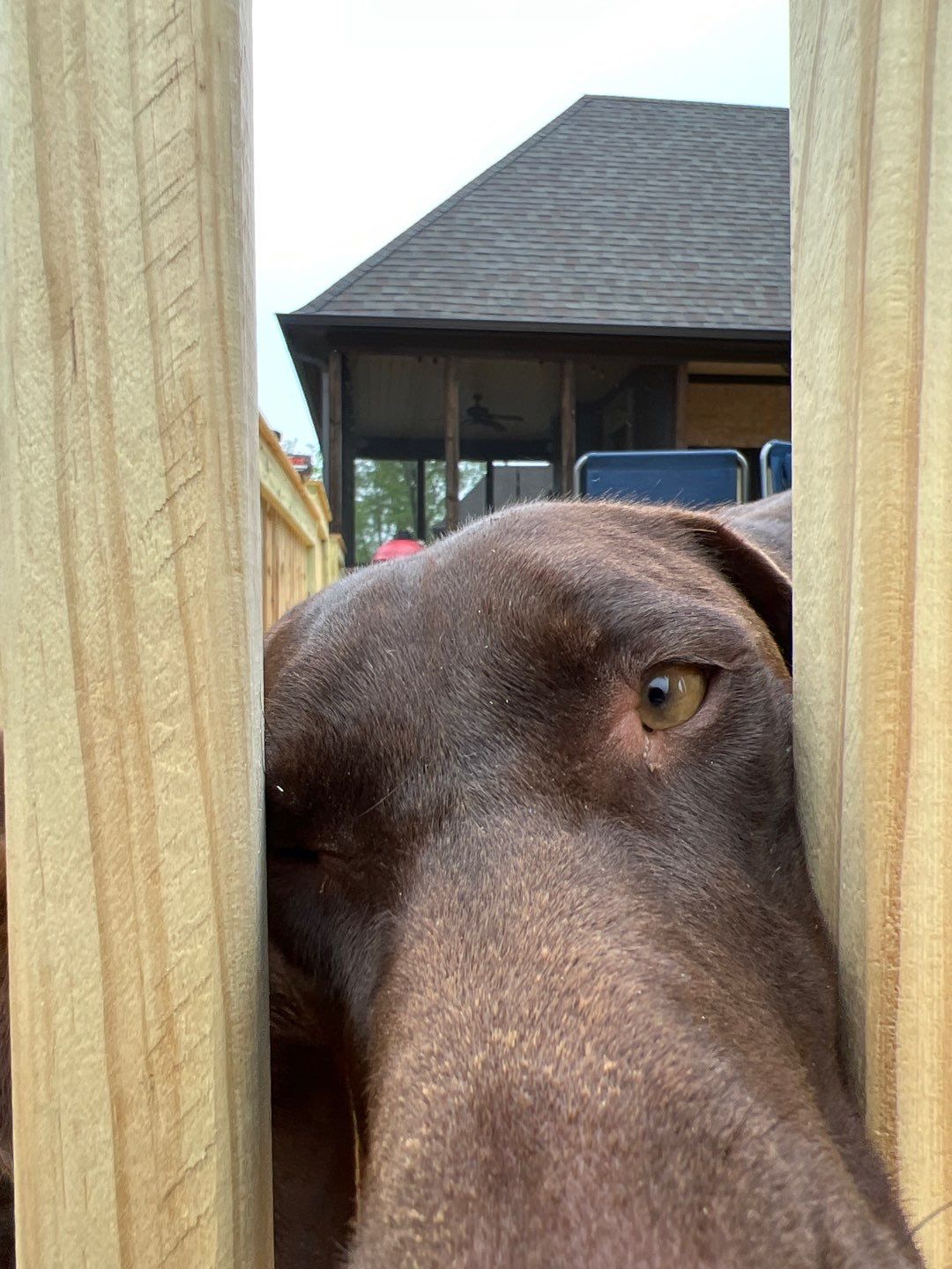 Scout Ridge - Deck Installation  by Pillar and Pine