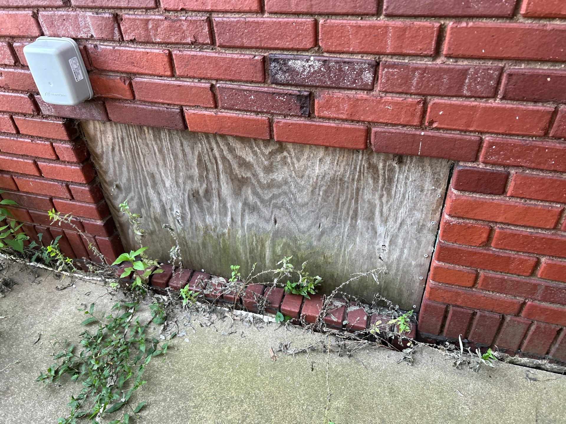 Upgrading Basement Windows for Lasting Performance by United Windows and Siding LLC