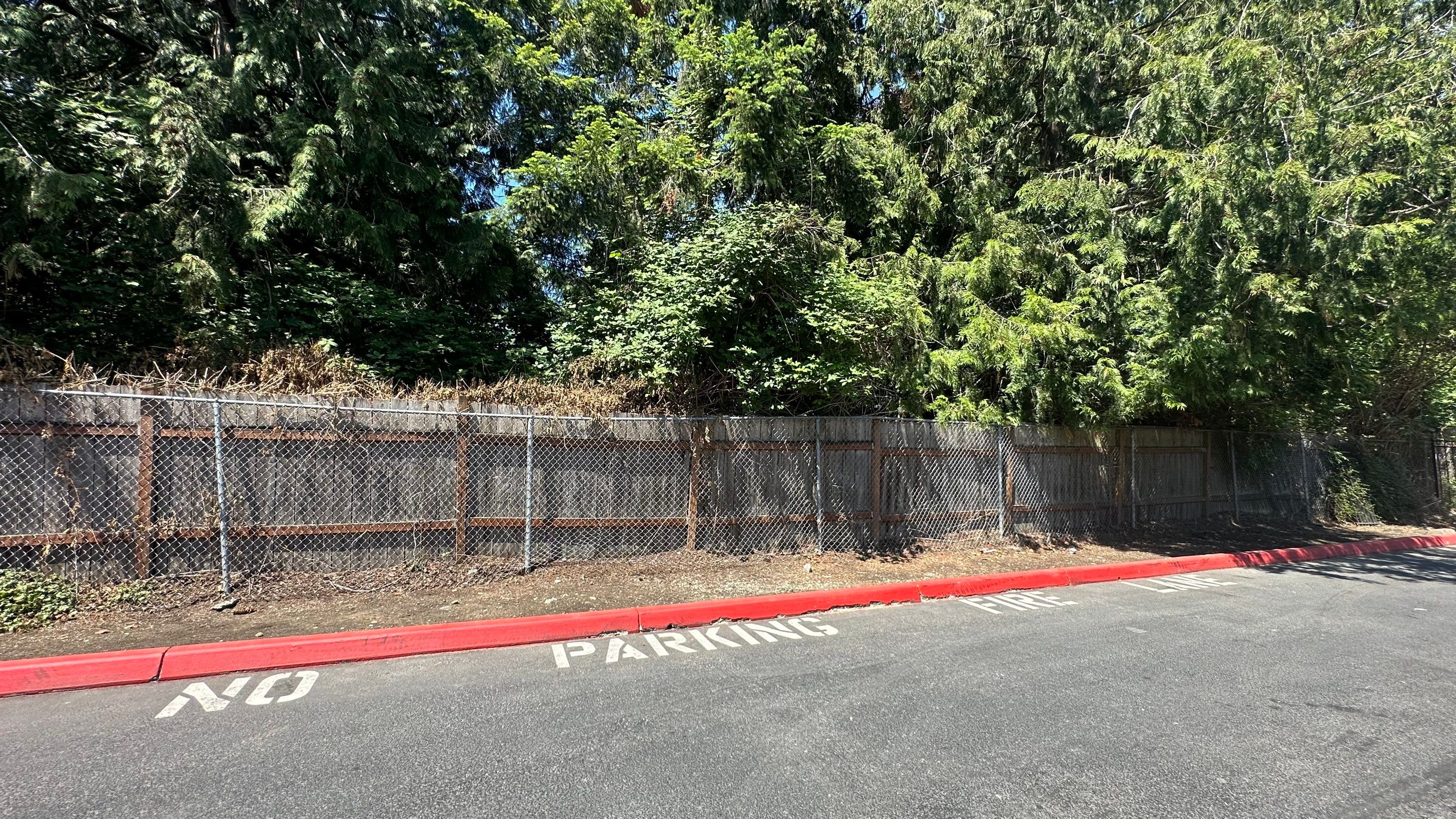 Chaz | Driveway Repave, Asphalt Project  by Jireh Asphalt & Concrete Inc 