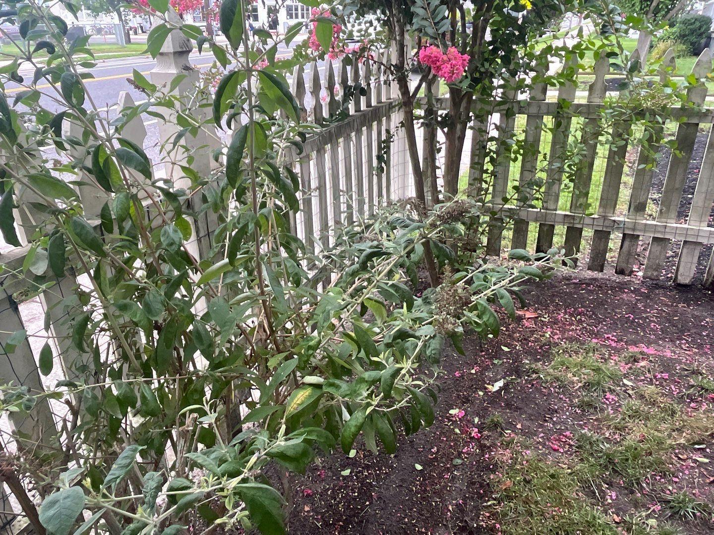 Power Wash by Fresh Coat Works LLC
