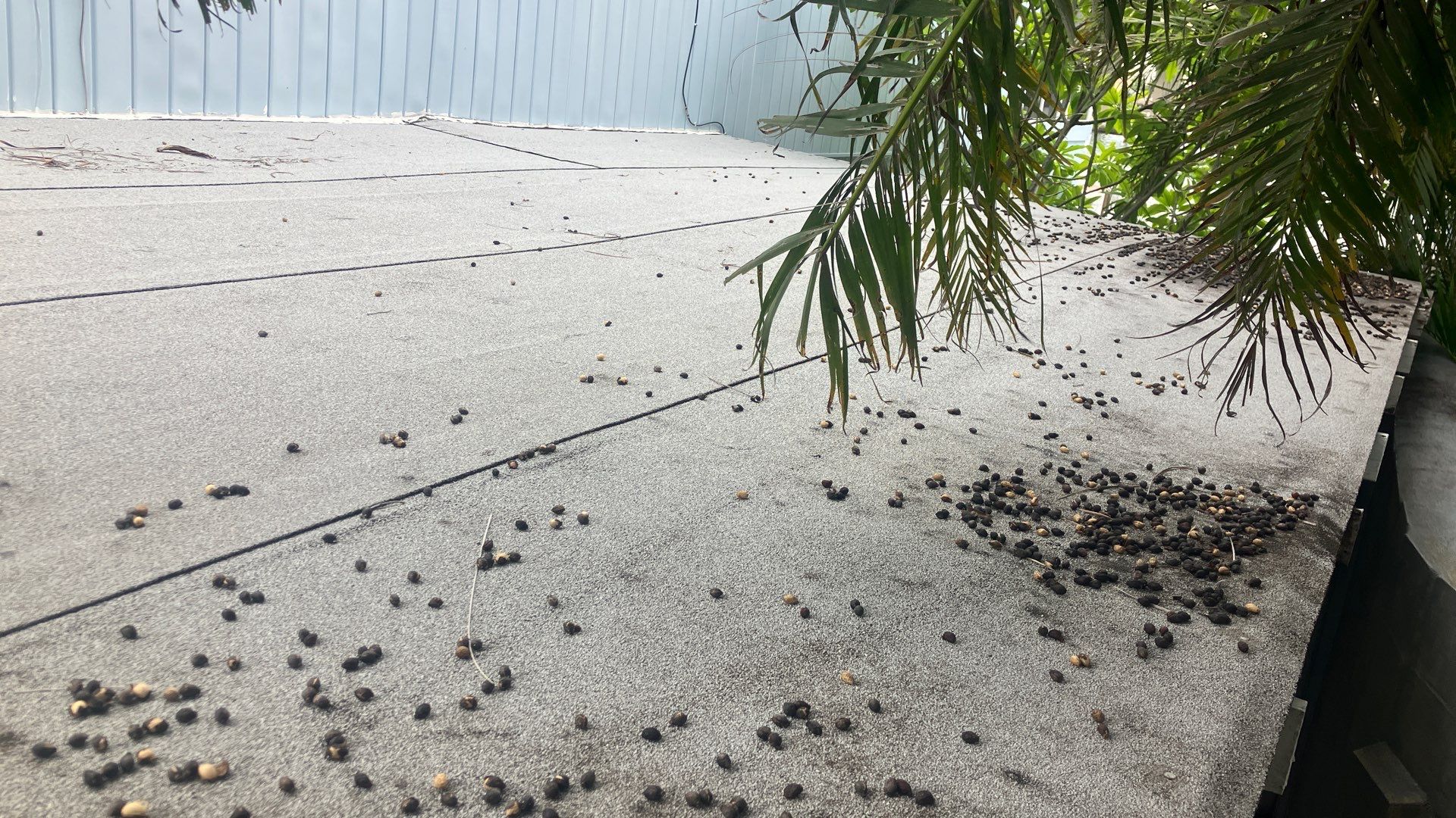 Project in St Pete Beach 33706 by Mitchell Roofing Company LLC 