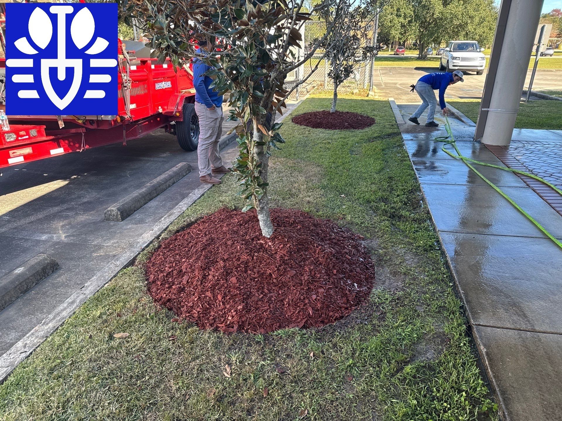 COMMERCIAL: BED CLEAN / MULCH INSTALL by CutScape, LLC.