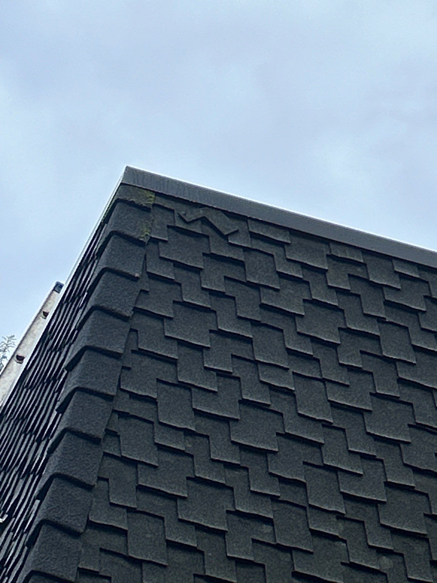 Project in Kirkland by Connolly Construction Company